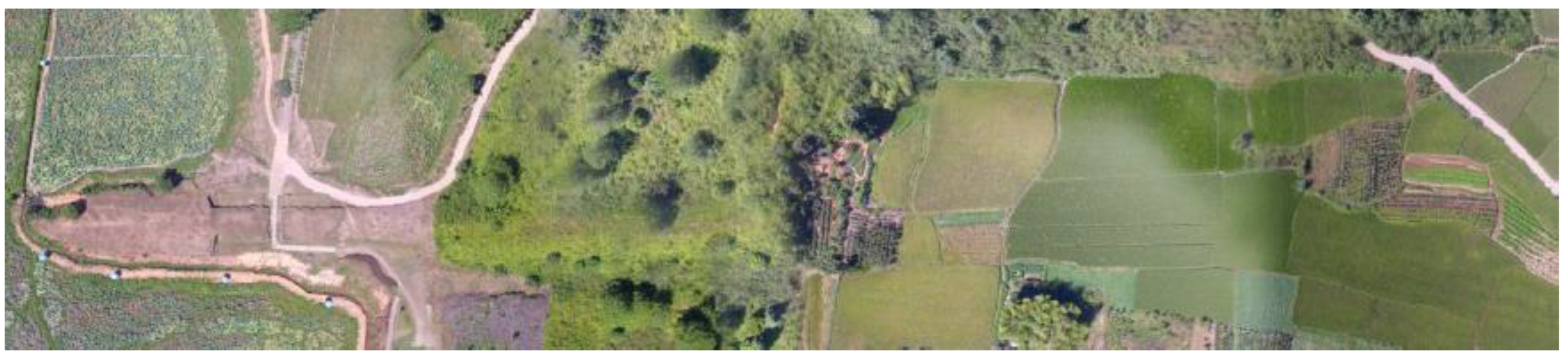 Coatings 14 01220 g013