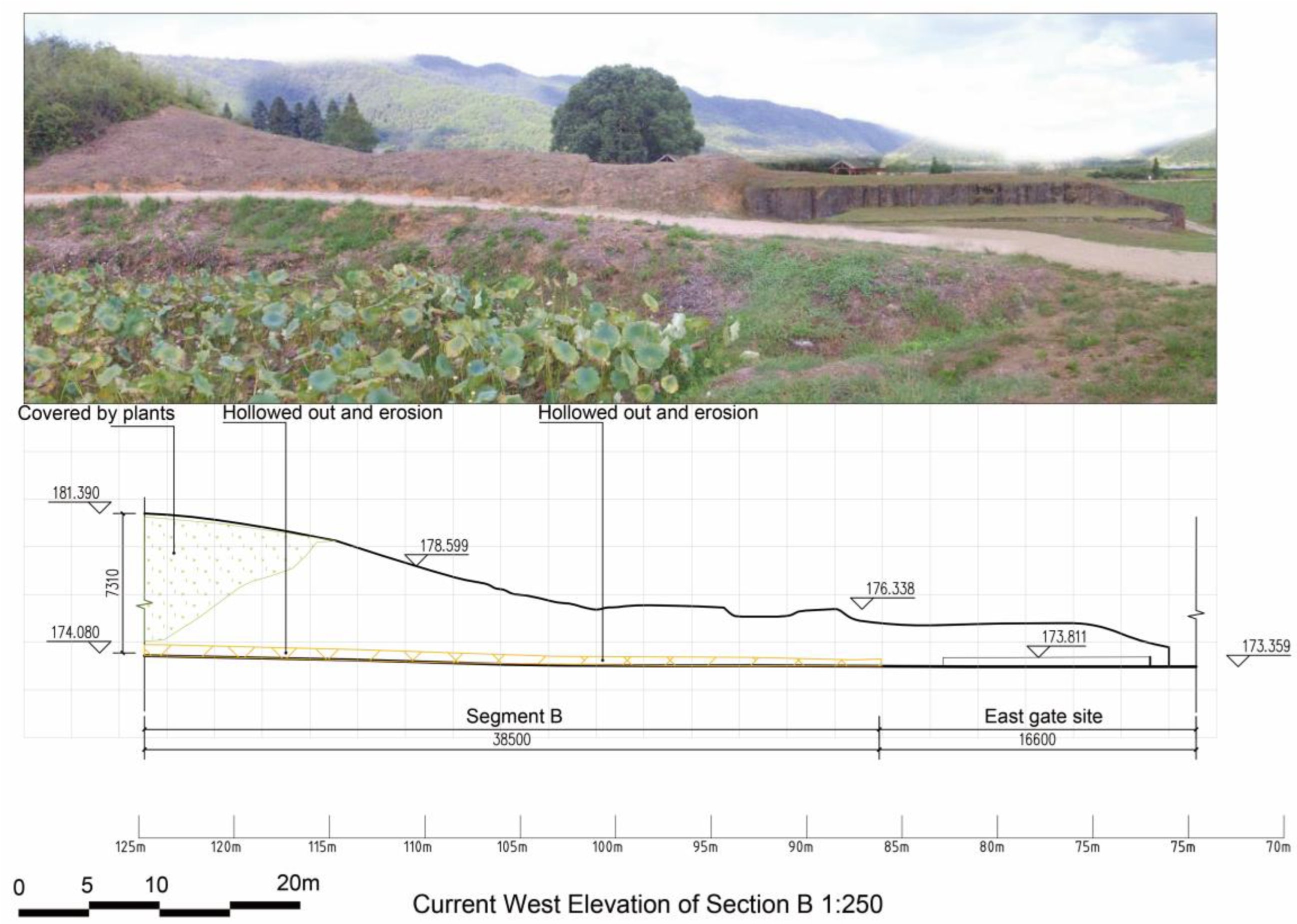 Coatings 14 01220 g019