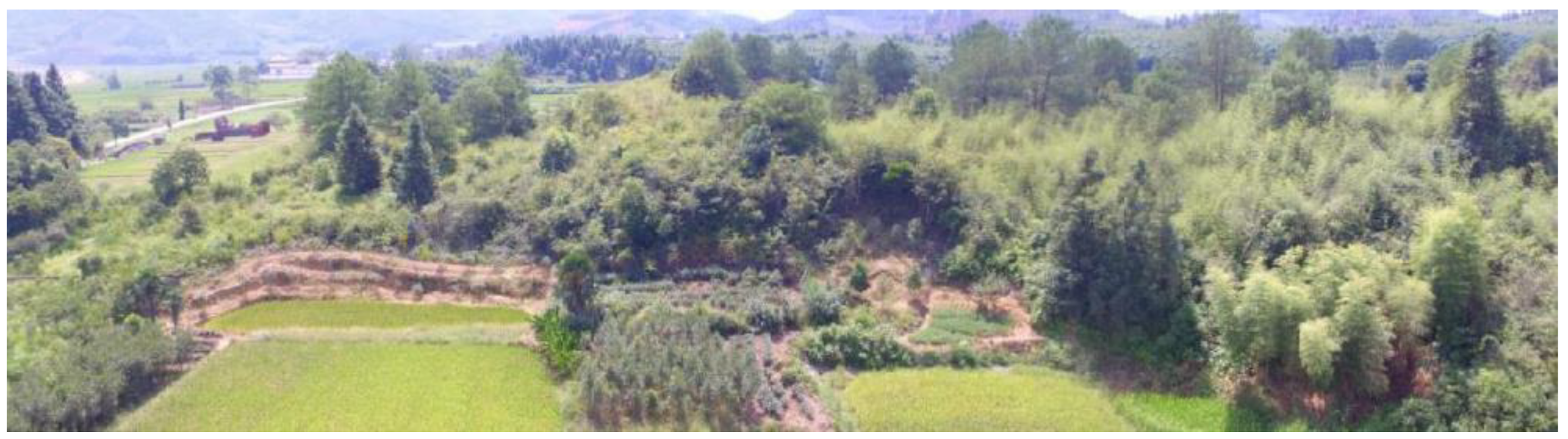 Coatings 14 01220 g023