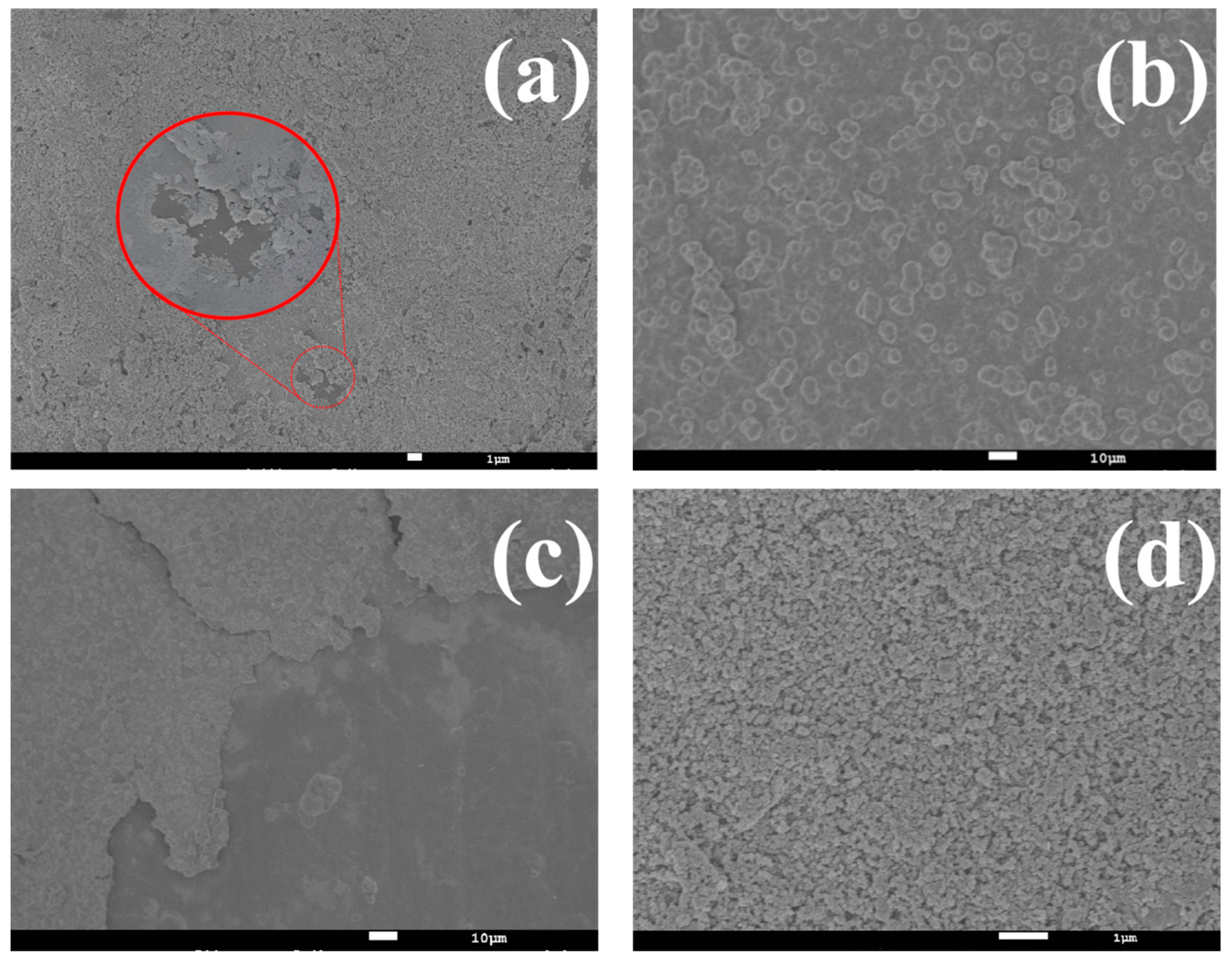 Coatings 14 01221 g004