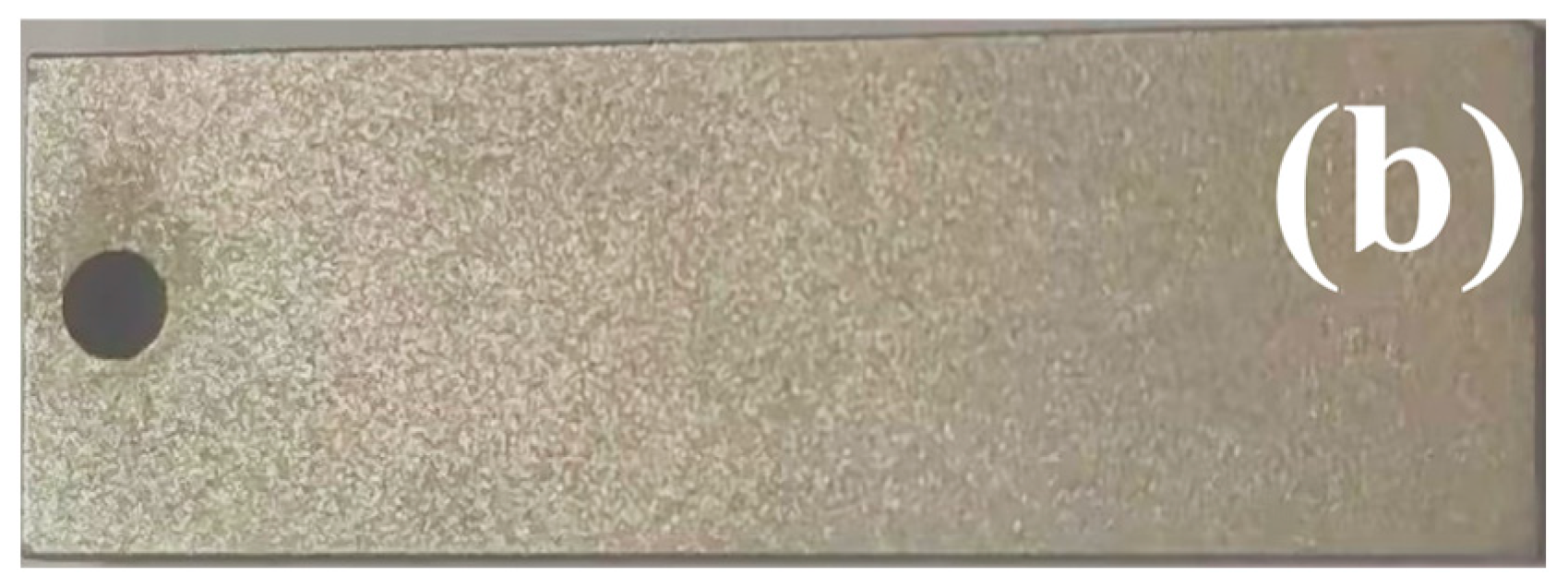 Coatings 14 01221 g008b