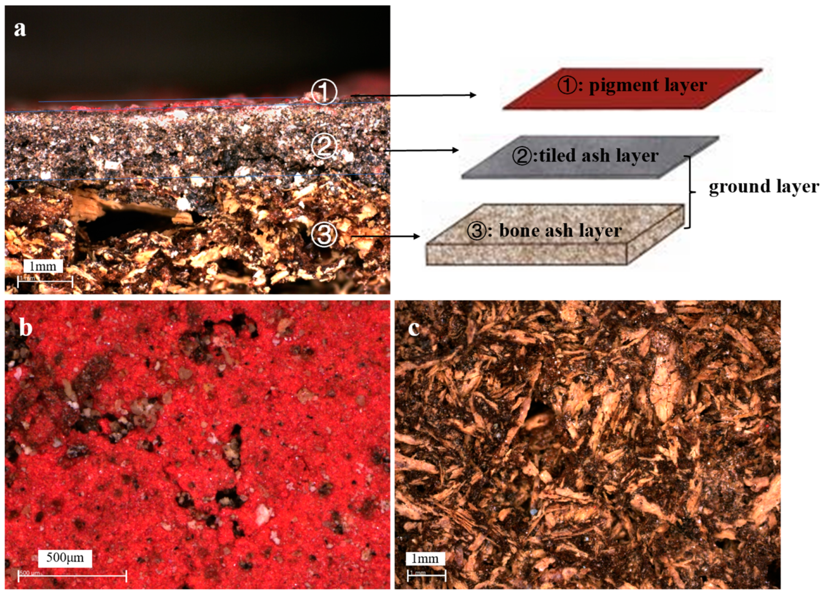 Coatings 14 01222 g003