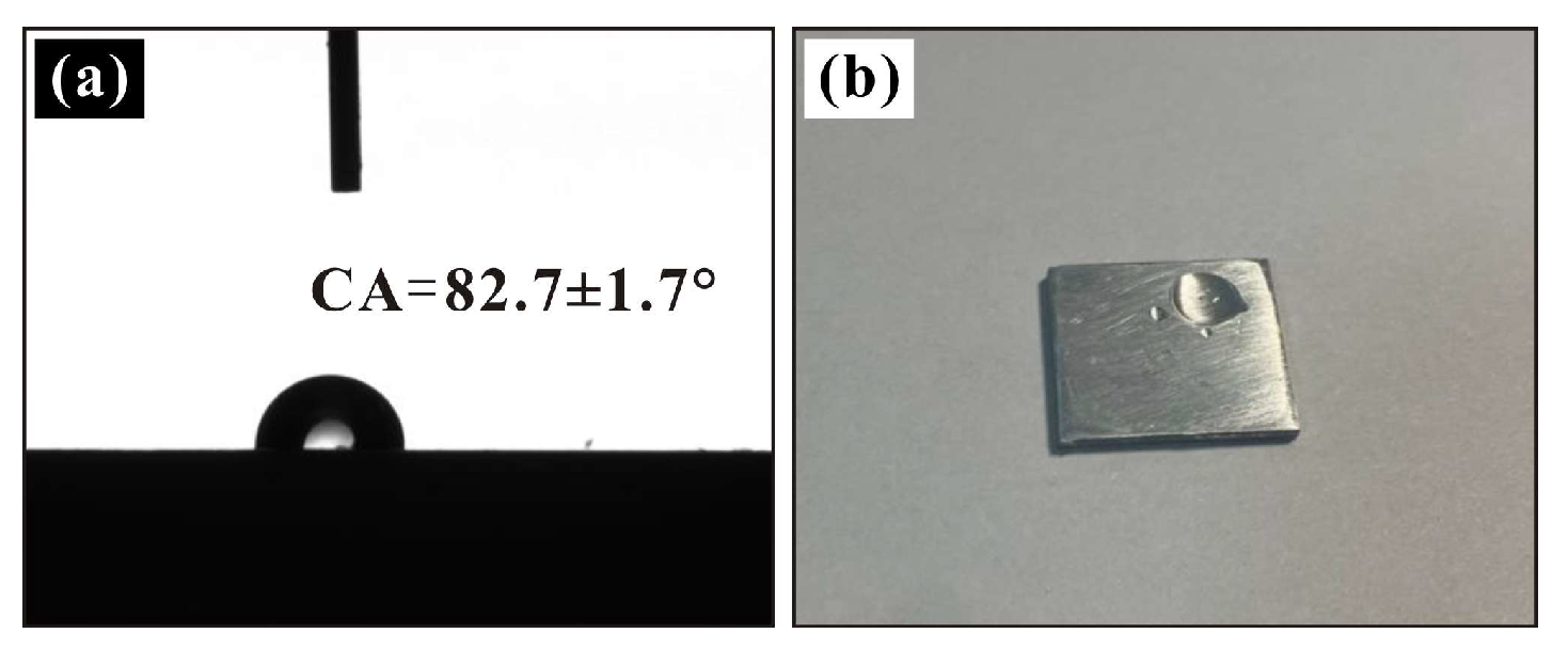 Coatings 14 01223 g001