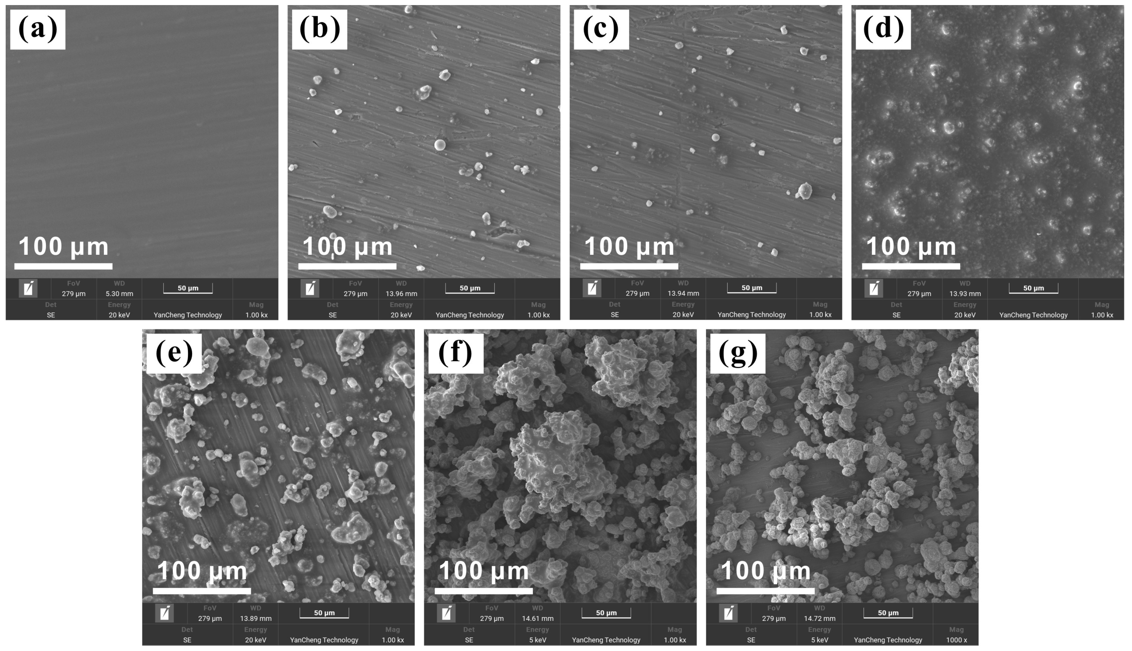 Coatings 14 01223 g004