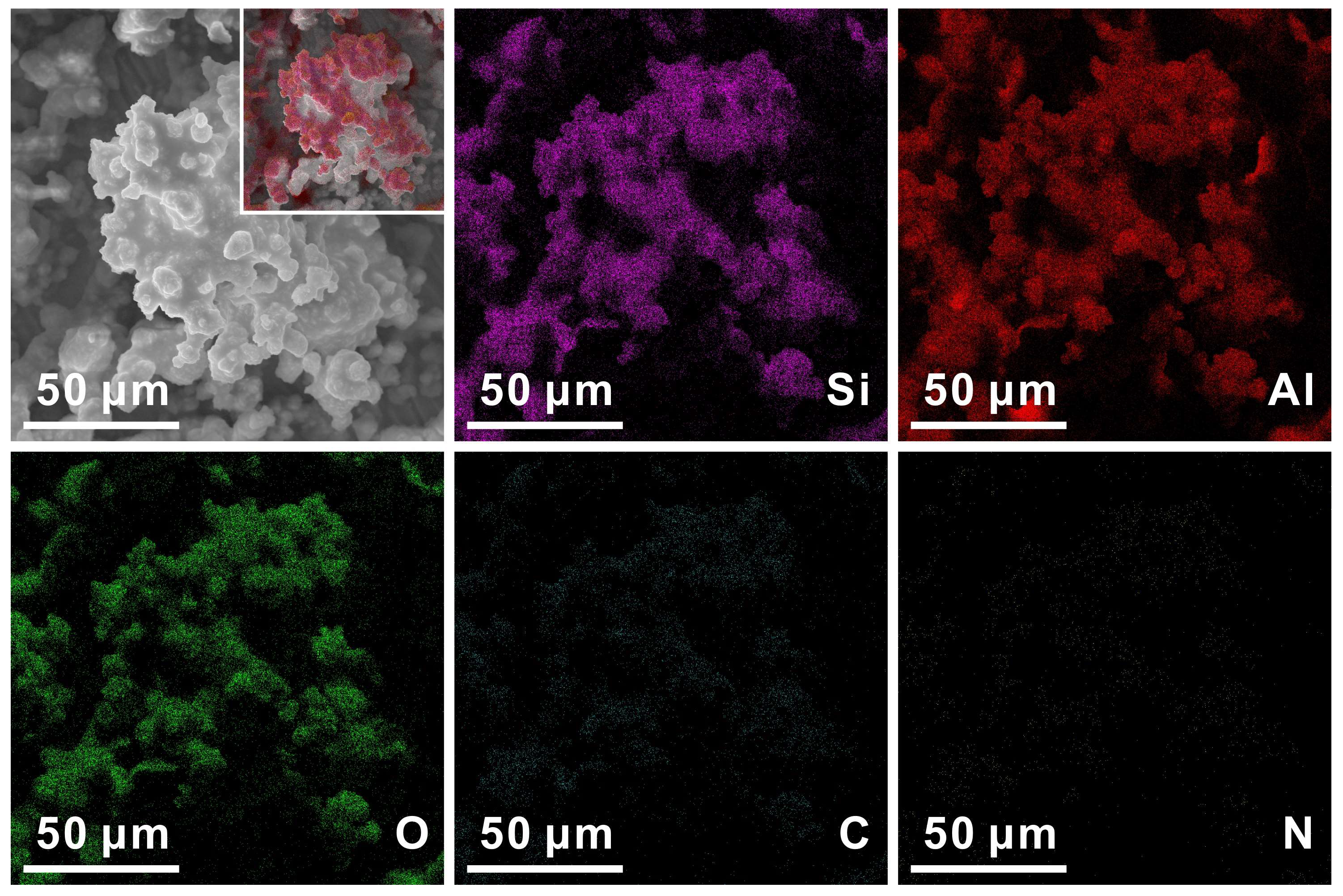 Coatings 14 01223 g007