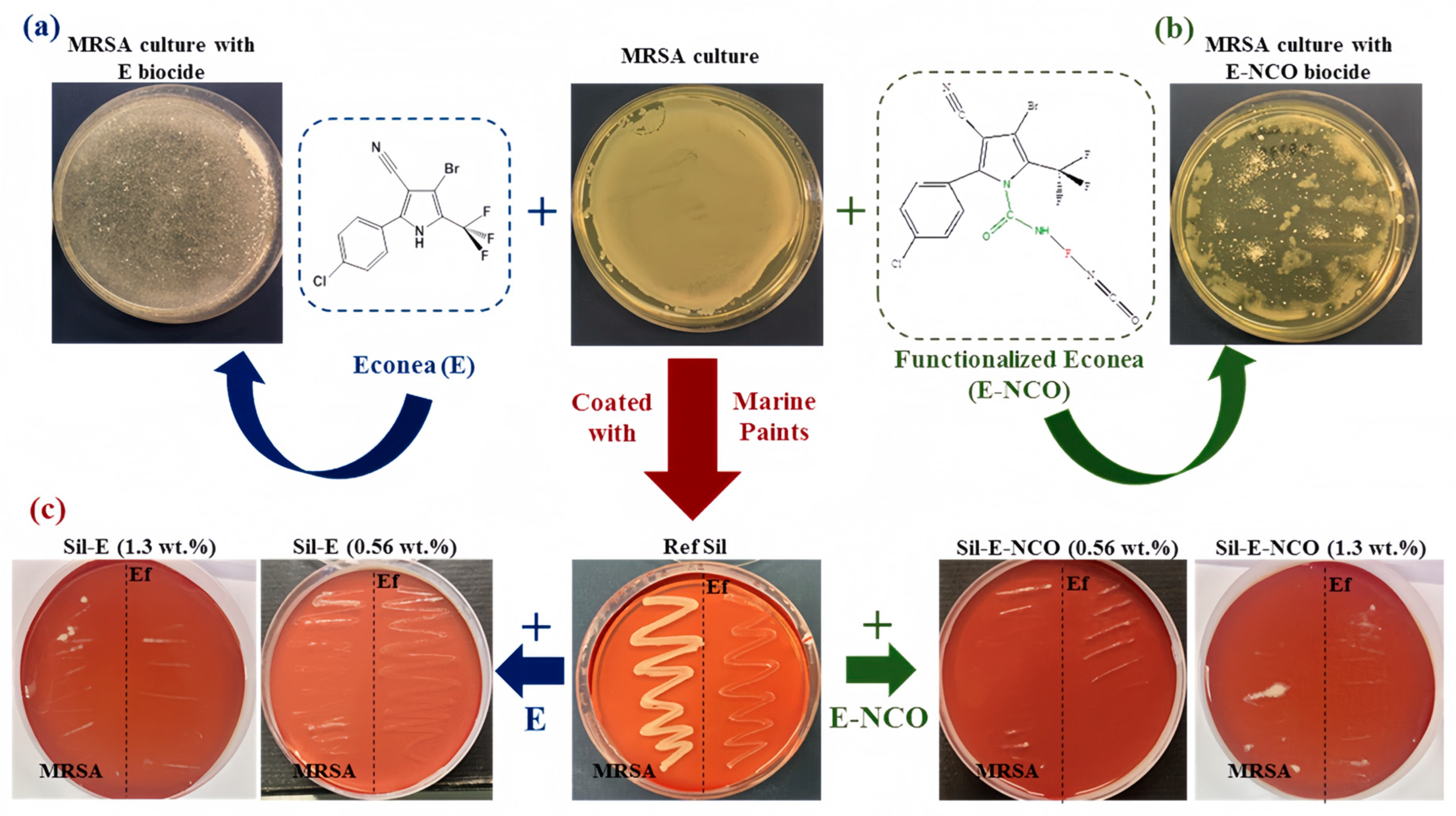Coatings 14 01227 g004