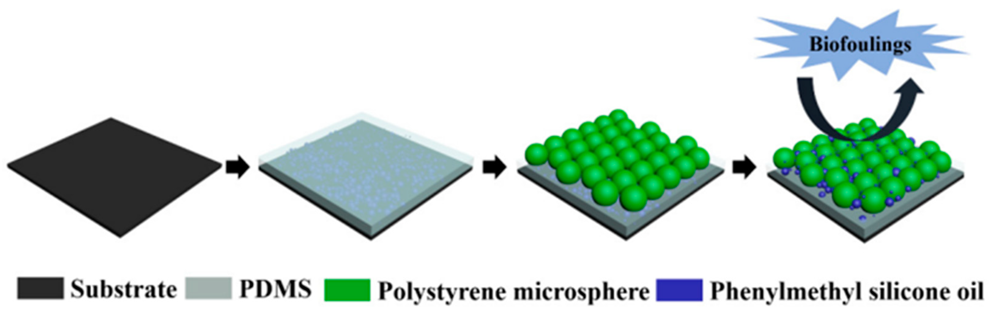 Coatings 14 01227 g013