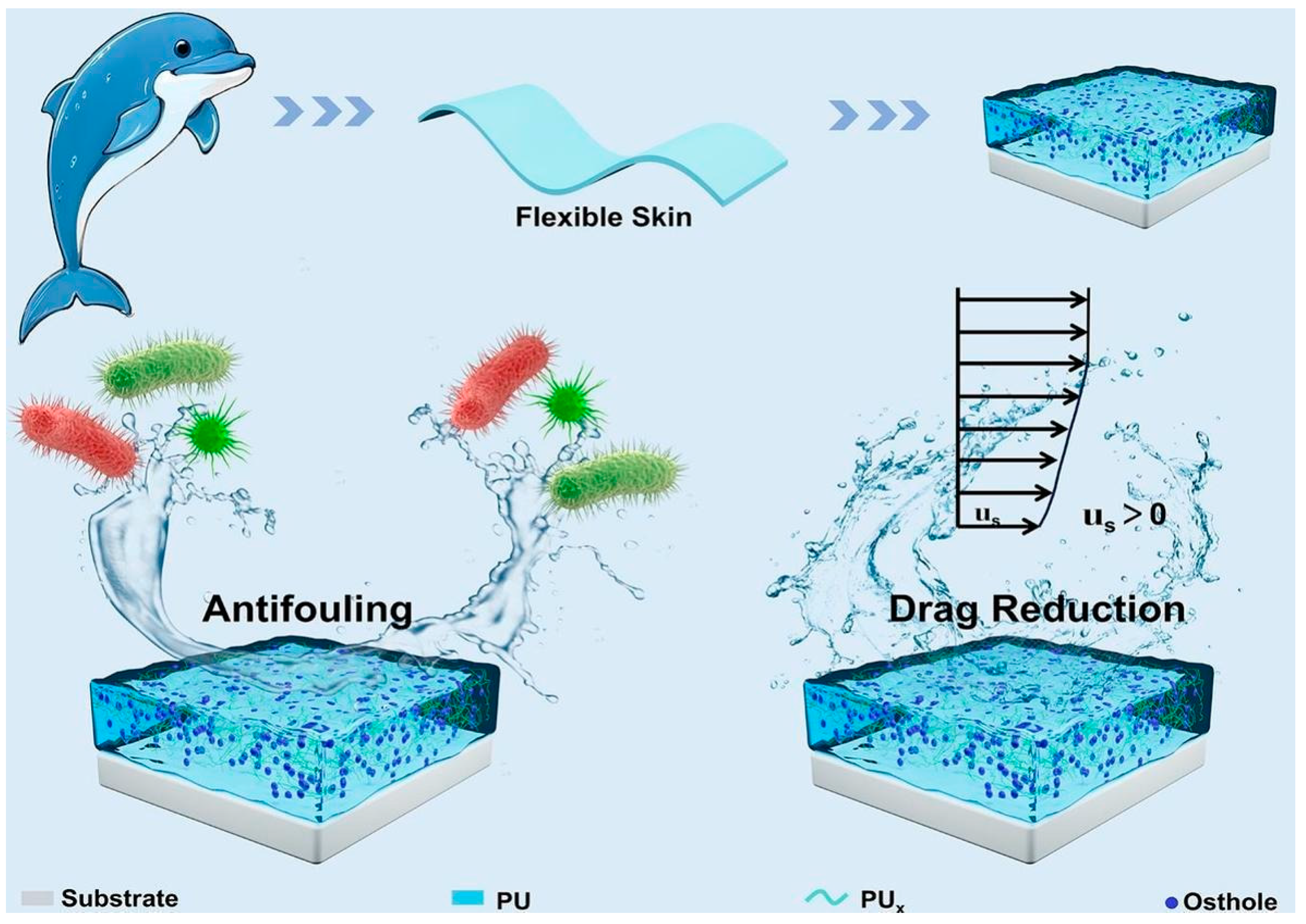 Coatings 14 01227 g015