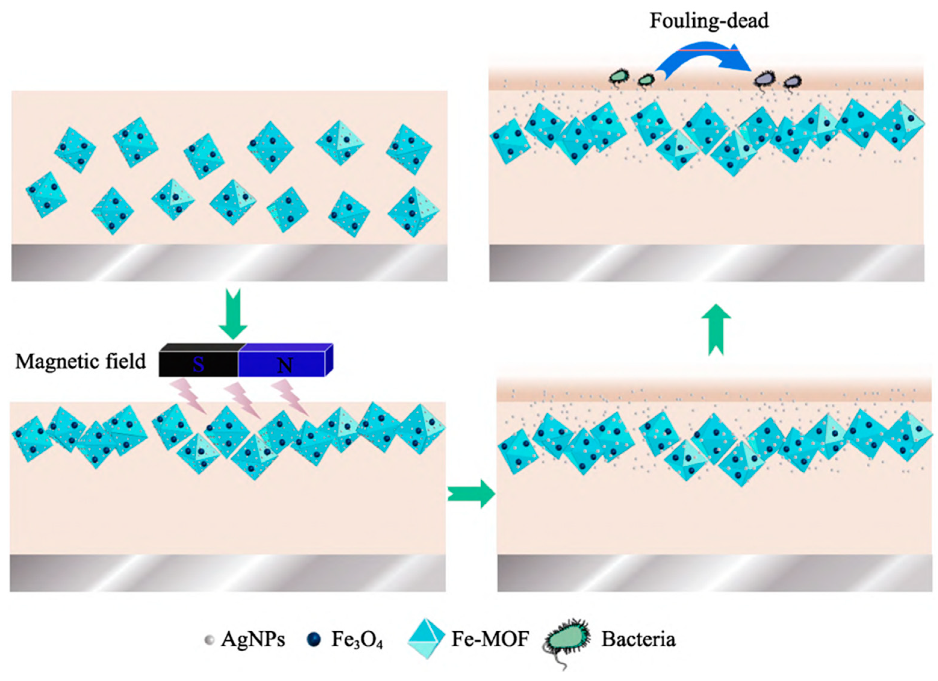 Coatings 14 01227 g019