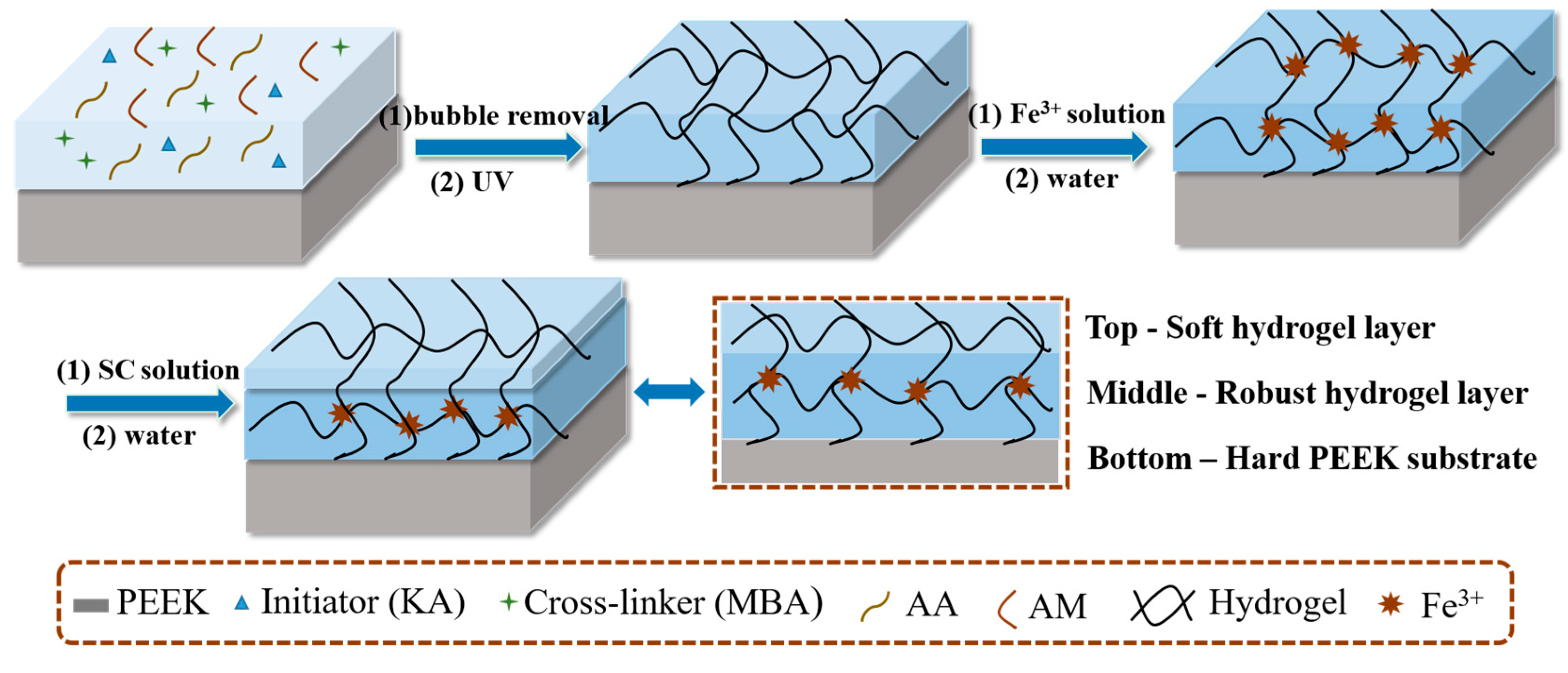 Coatings 14 01229 g001
