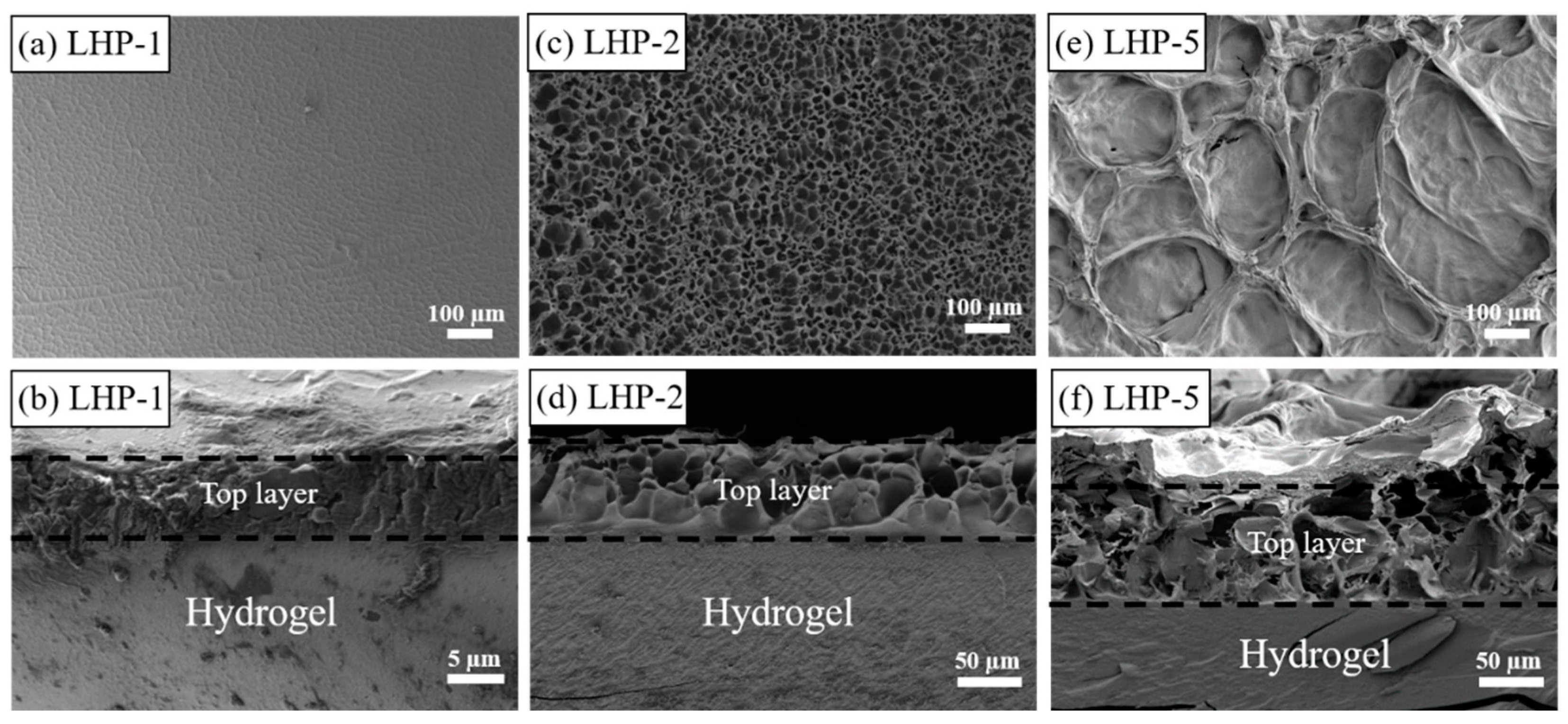 Coatings 14 01229 g003