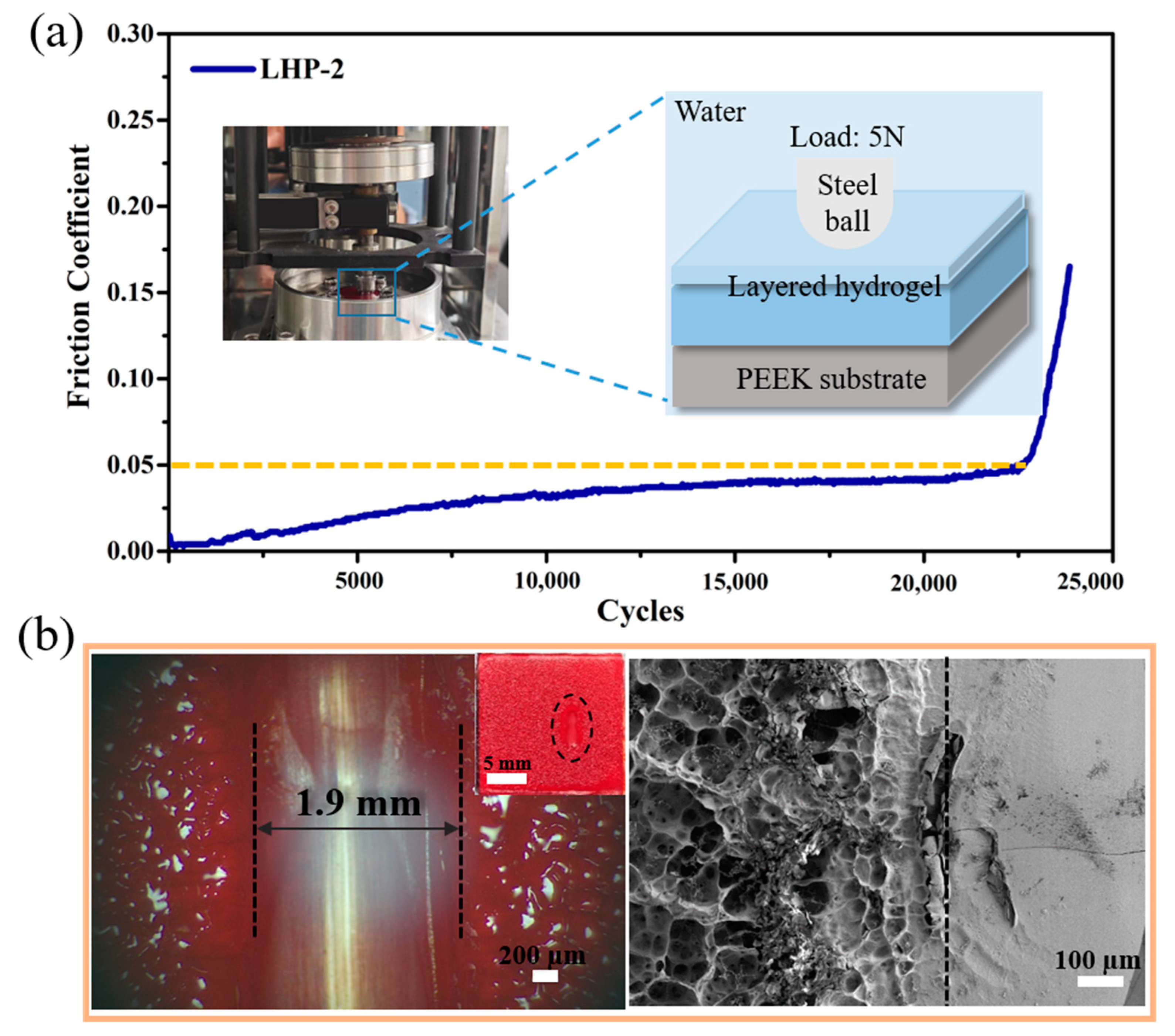 Coatings 14 01229 g010