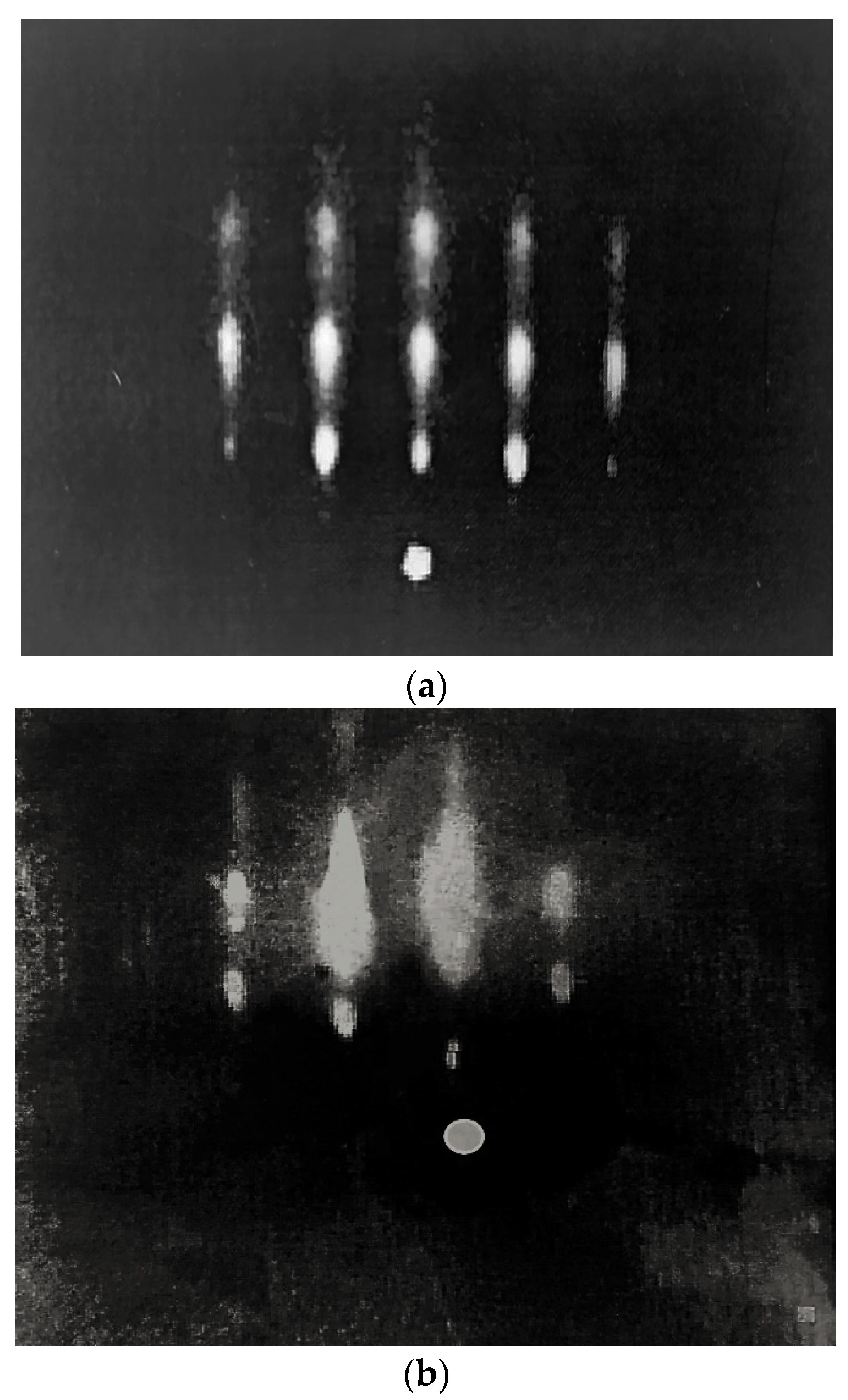 Coatings 14 01231 g004