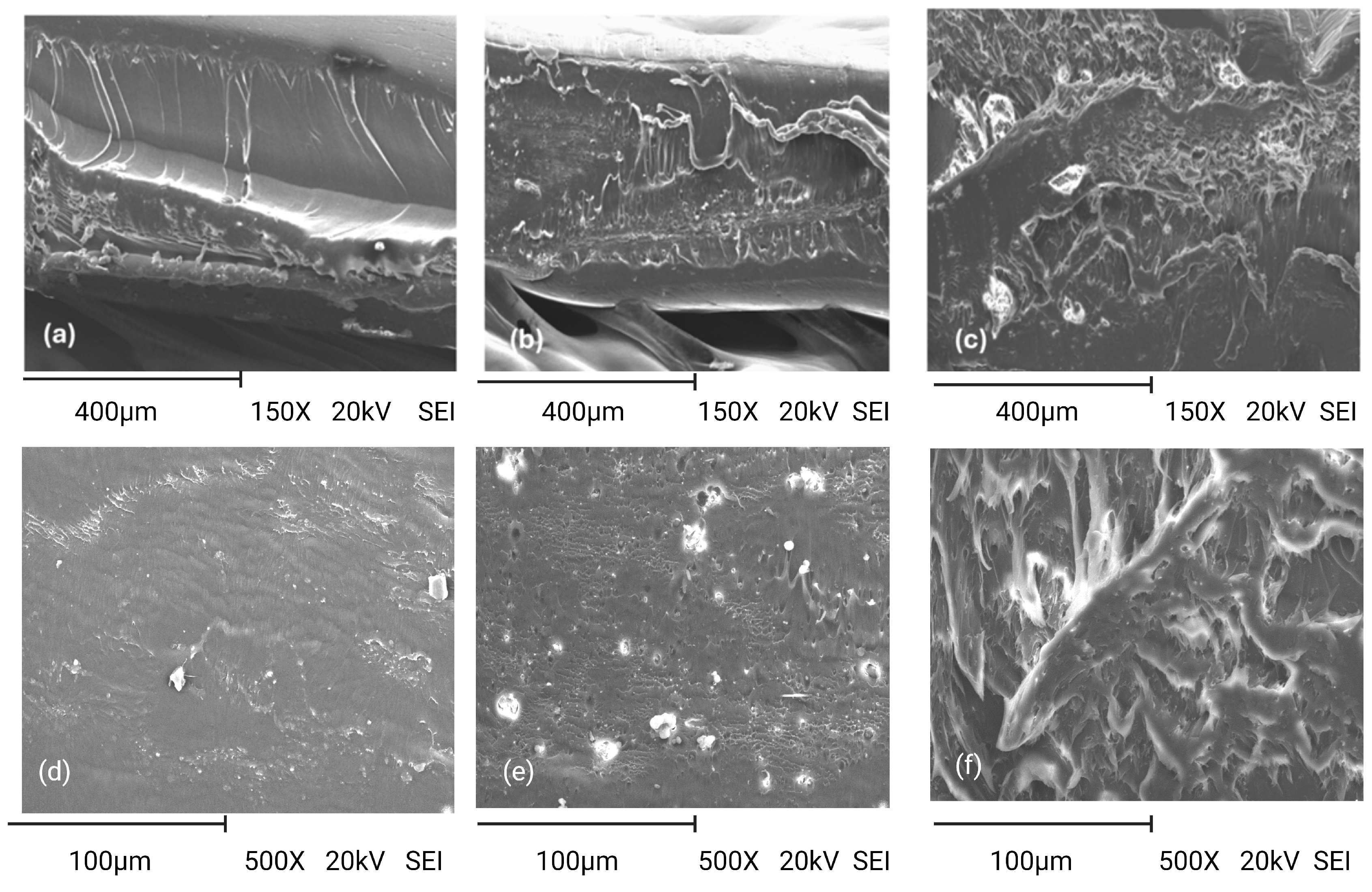 Coatings 14 01232 g004