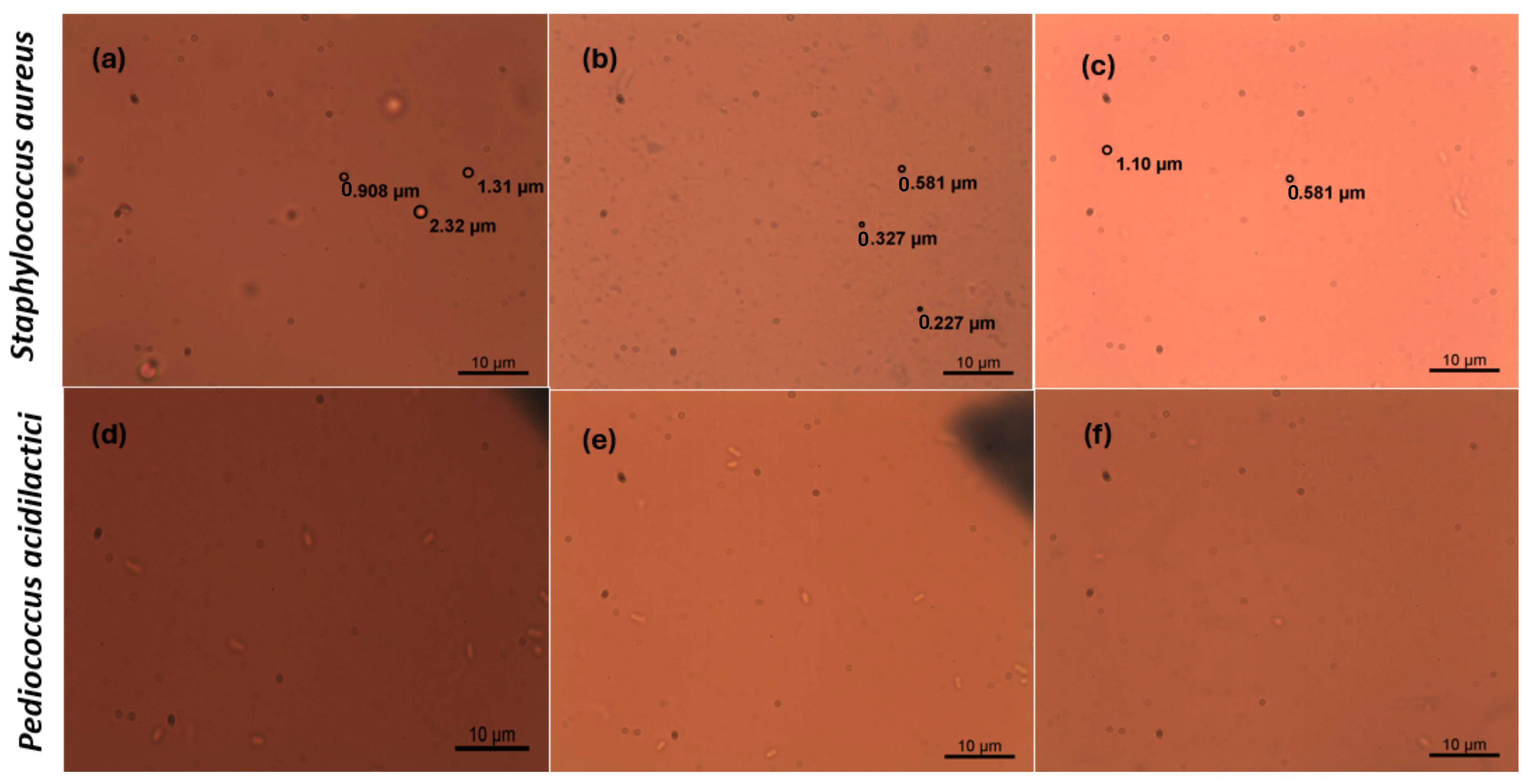 Coatings 14 01232 g008
