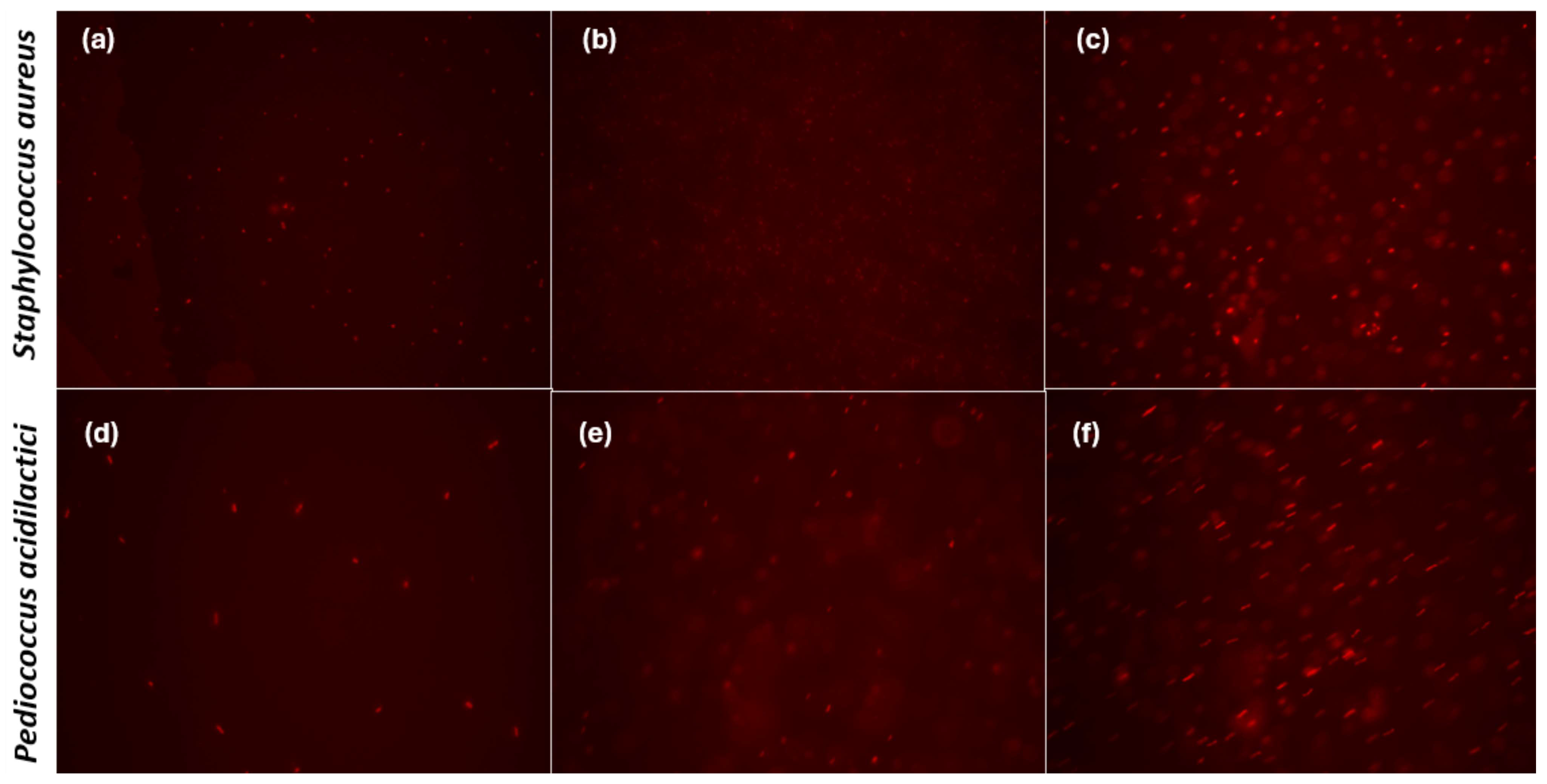 Coatings 14 01232 g009