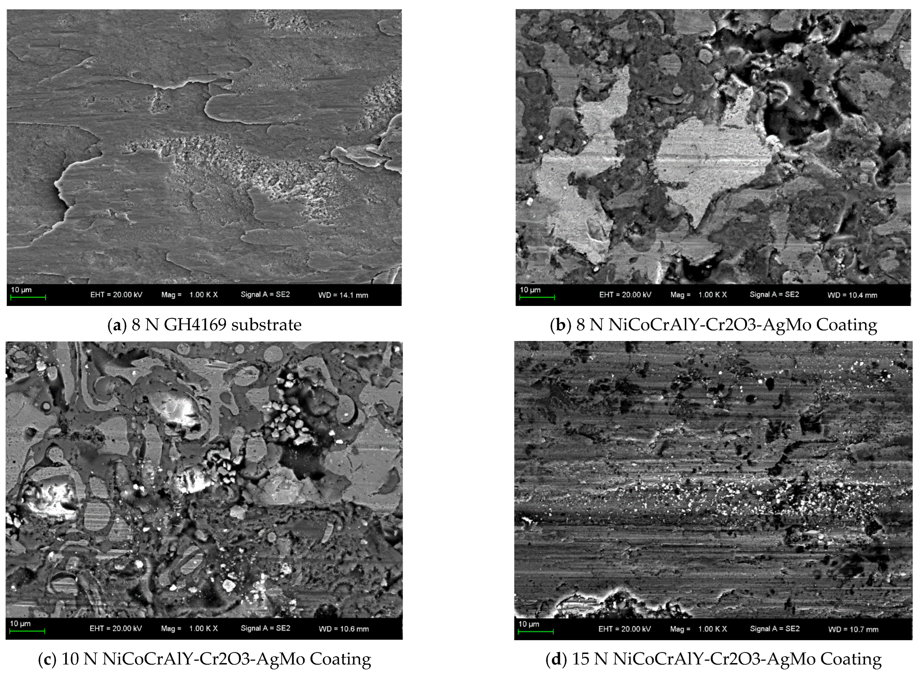 Coatings 14 01233 g012