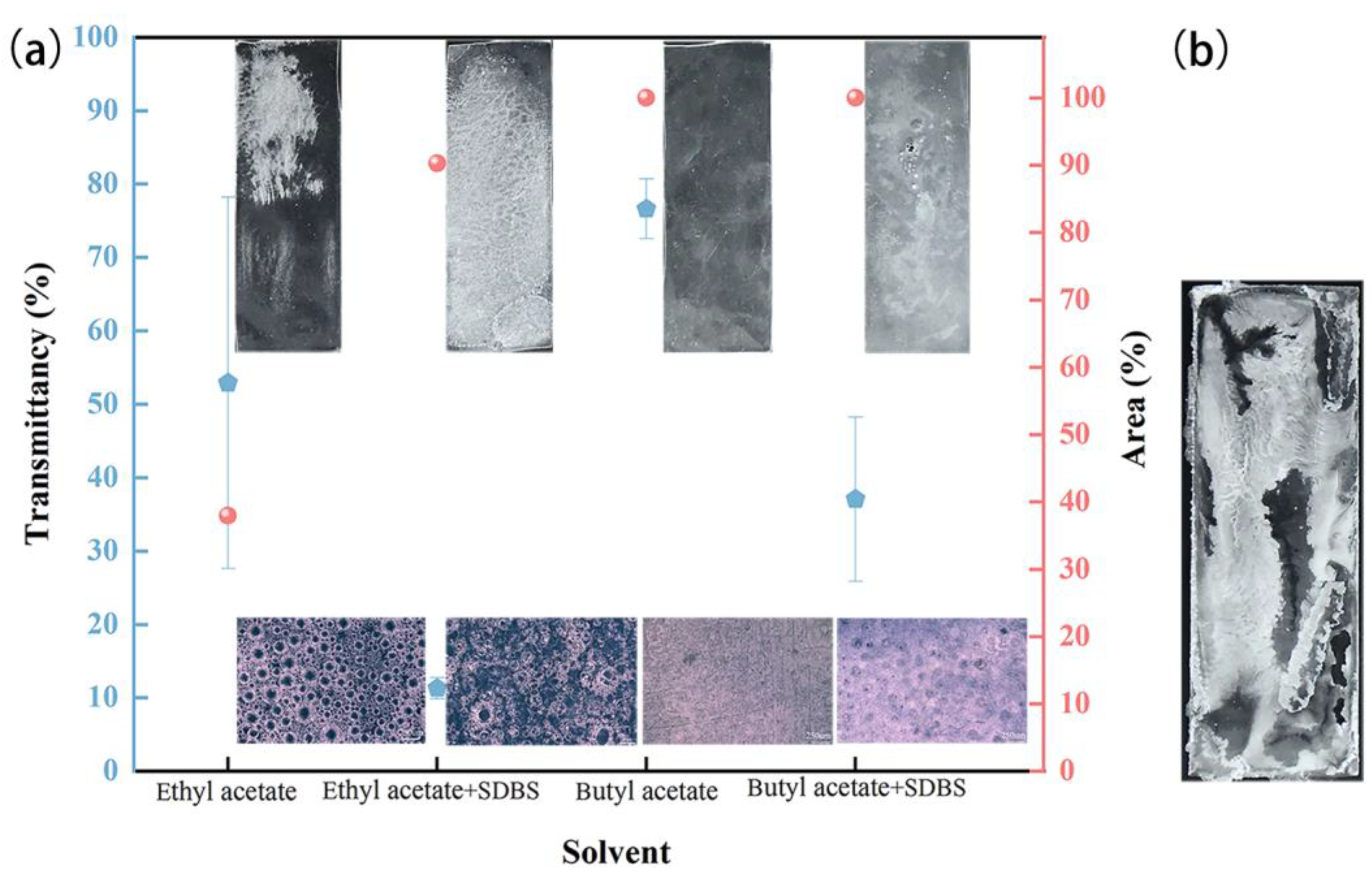 Coatings 14 01240 g006