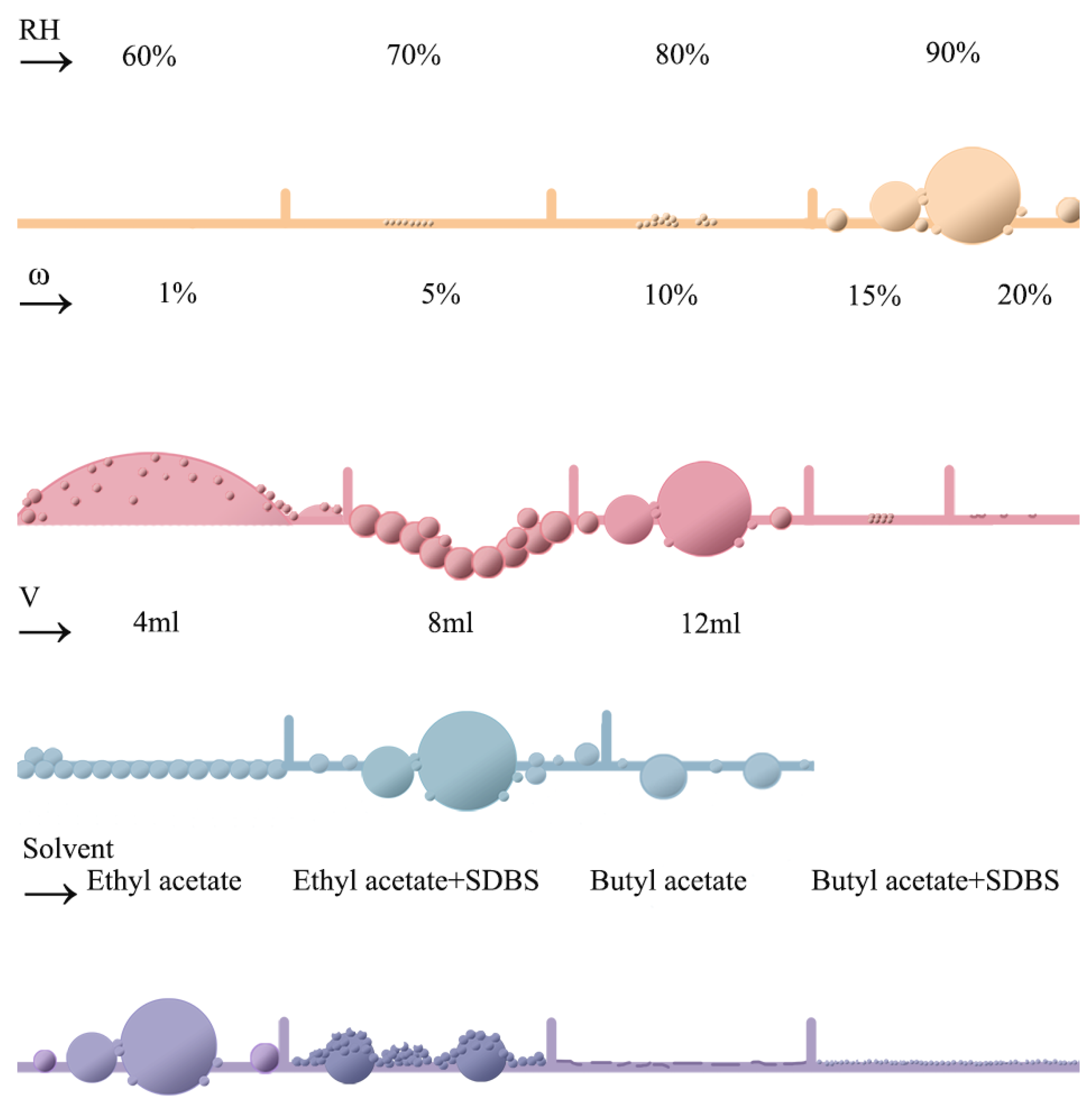 Coatings 14 01240 g010