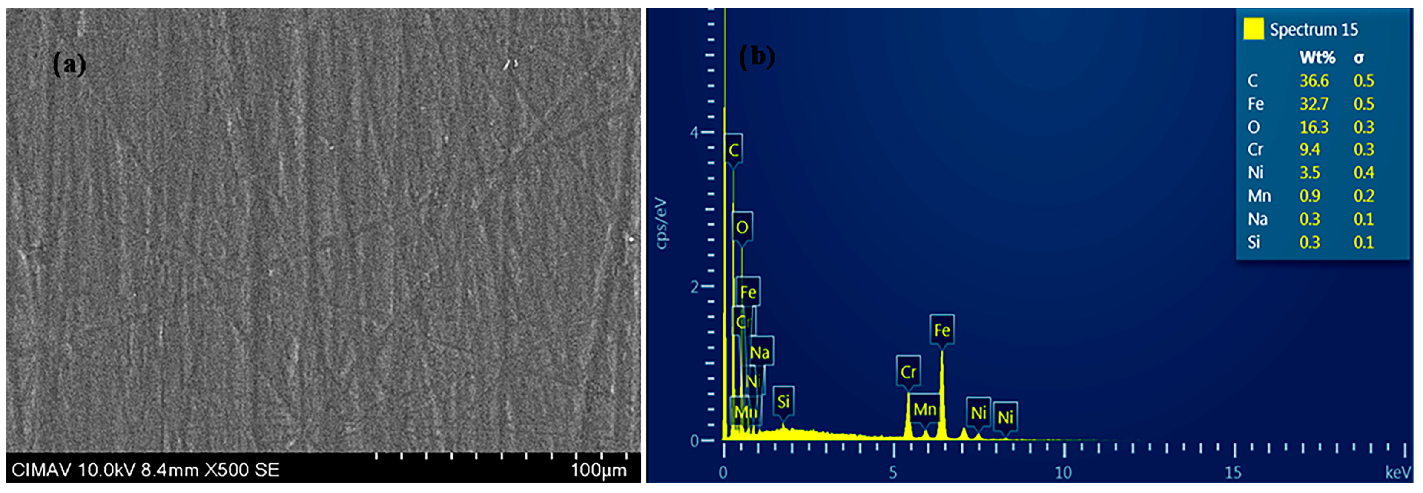 Coatings 14 01244 g001