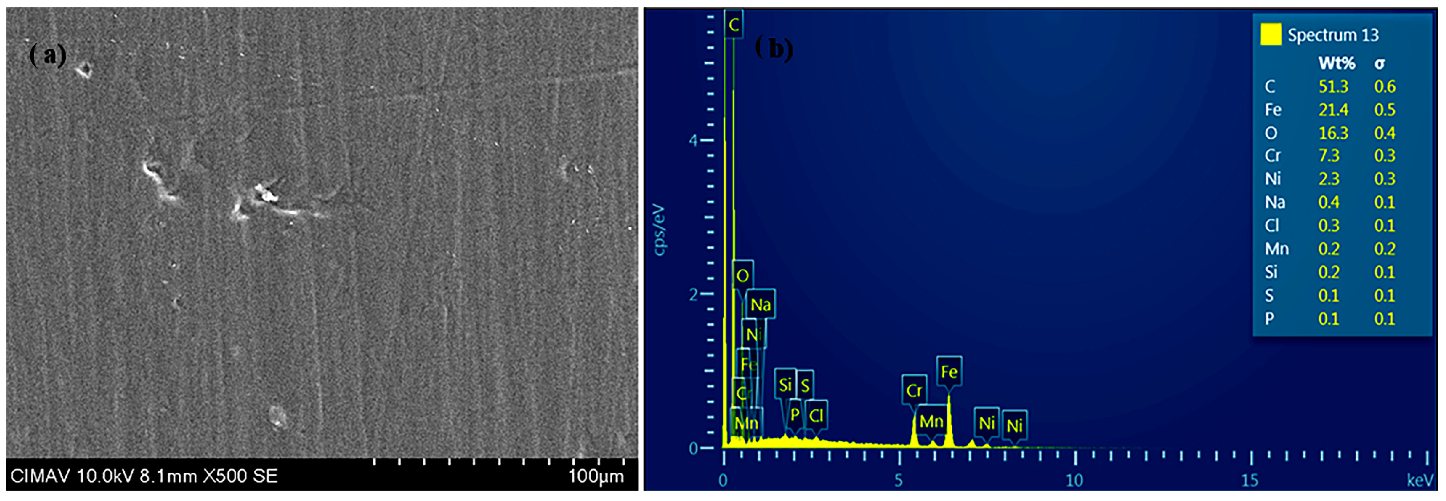 Coatings 14 01244 g003