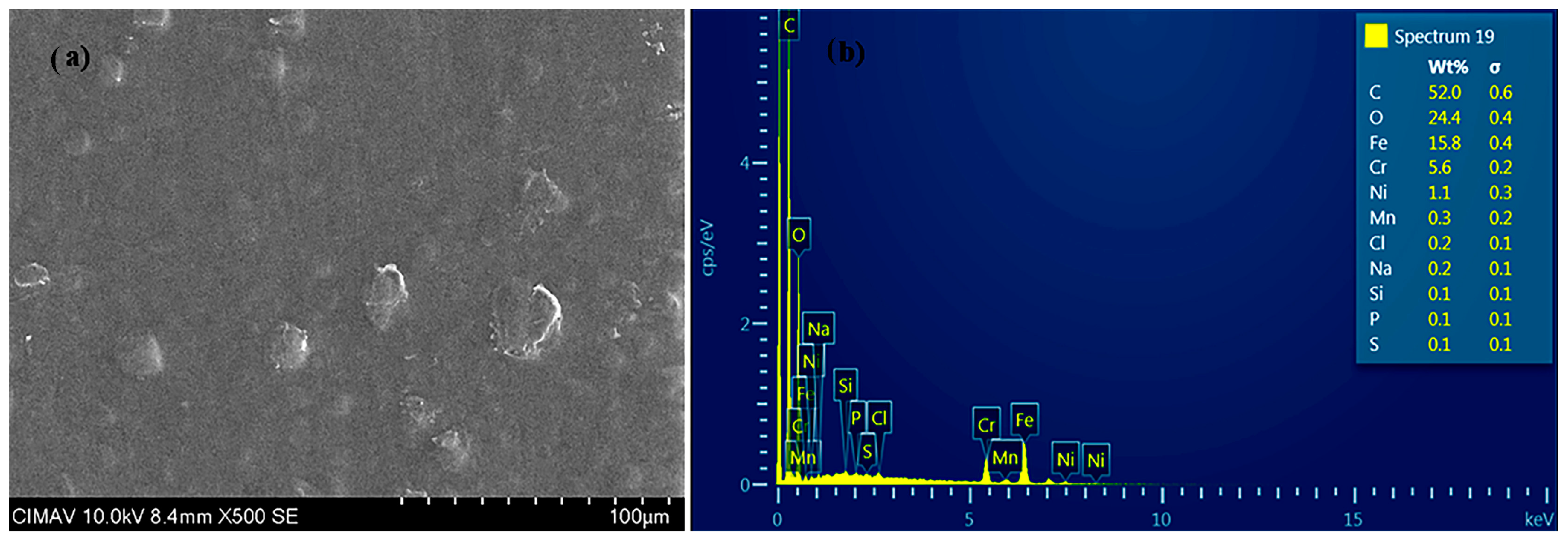 Coatings 14 01244 g004