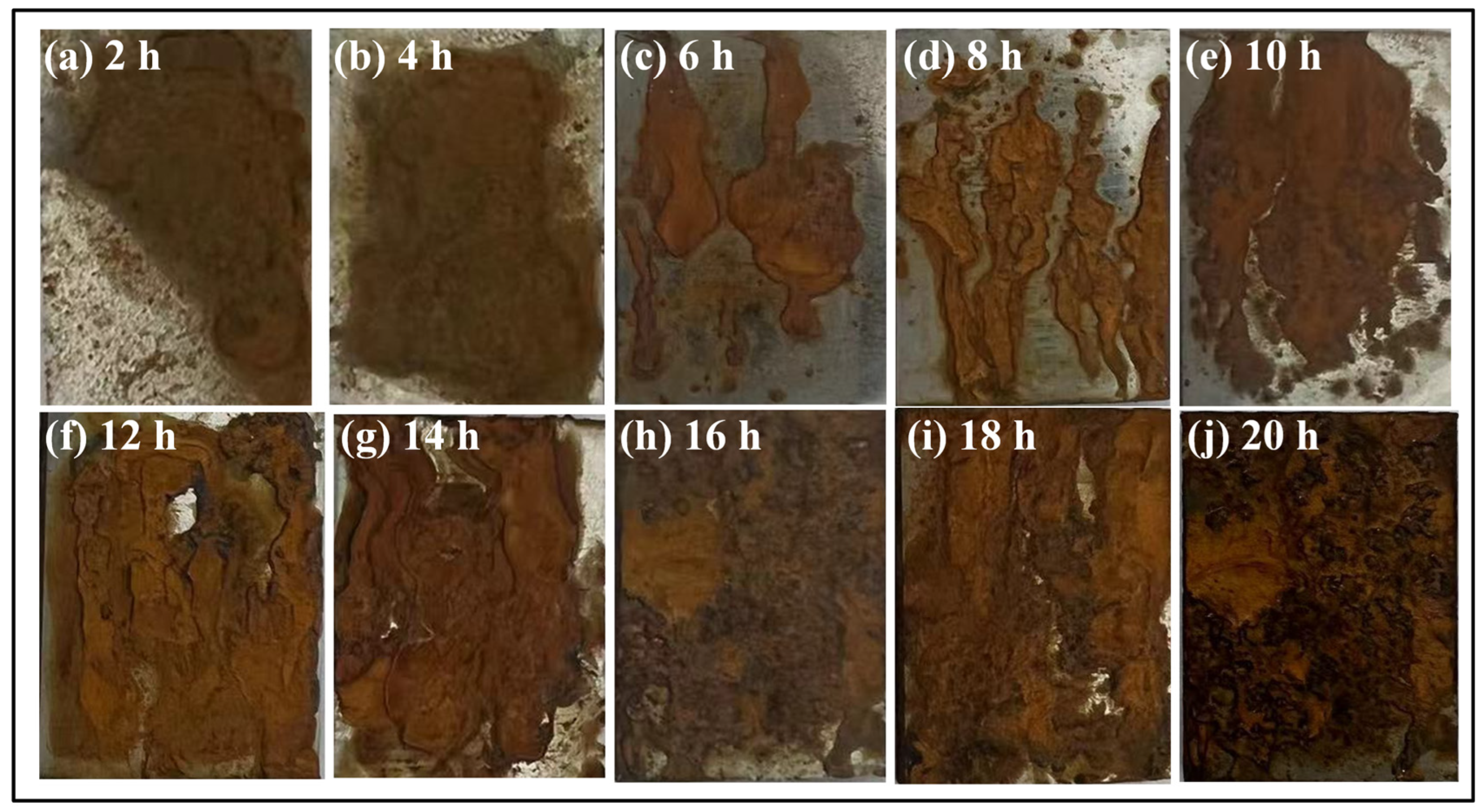 Coatings 14 01245 g003