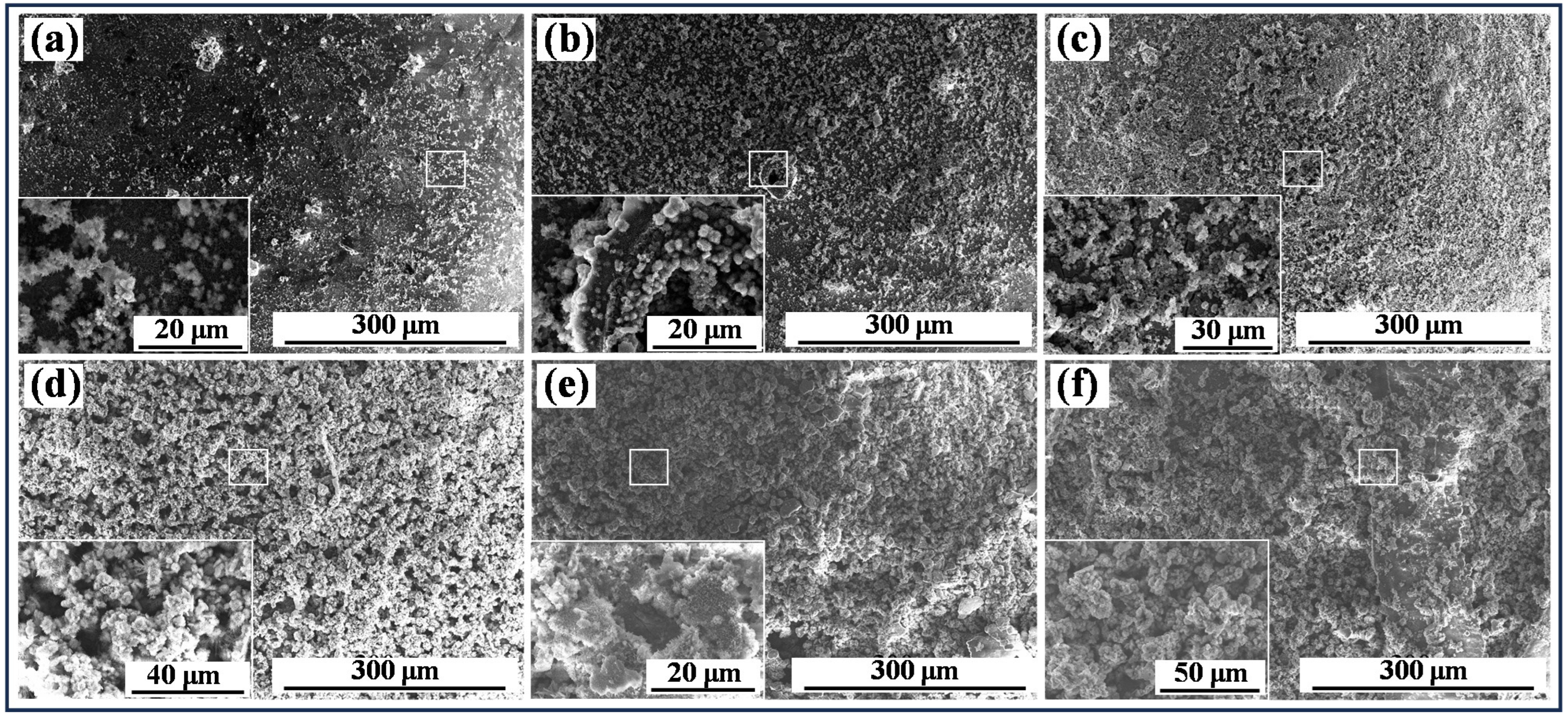 Coatings 14 01245 g004