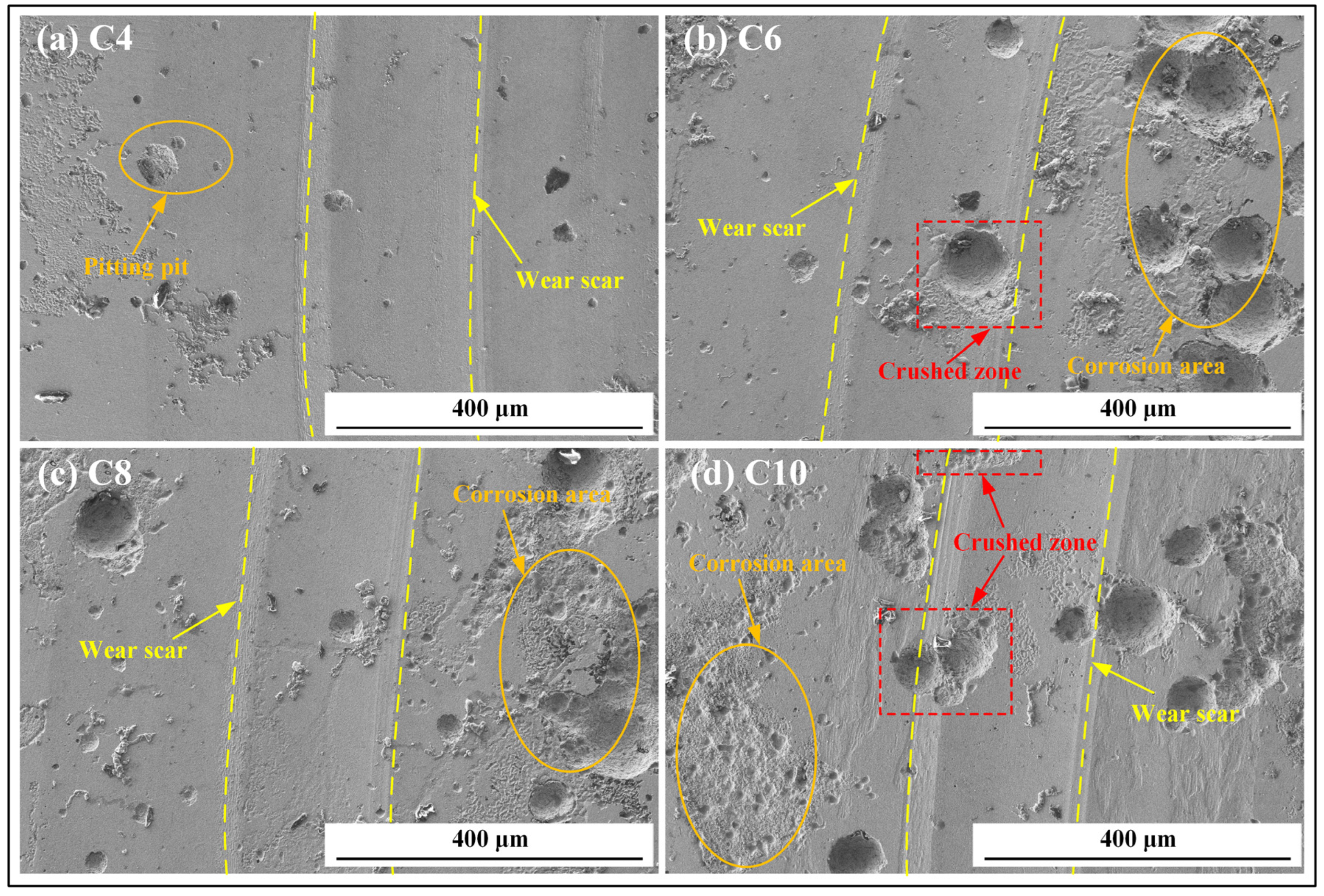Coatings 14 01245 g009