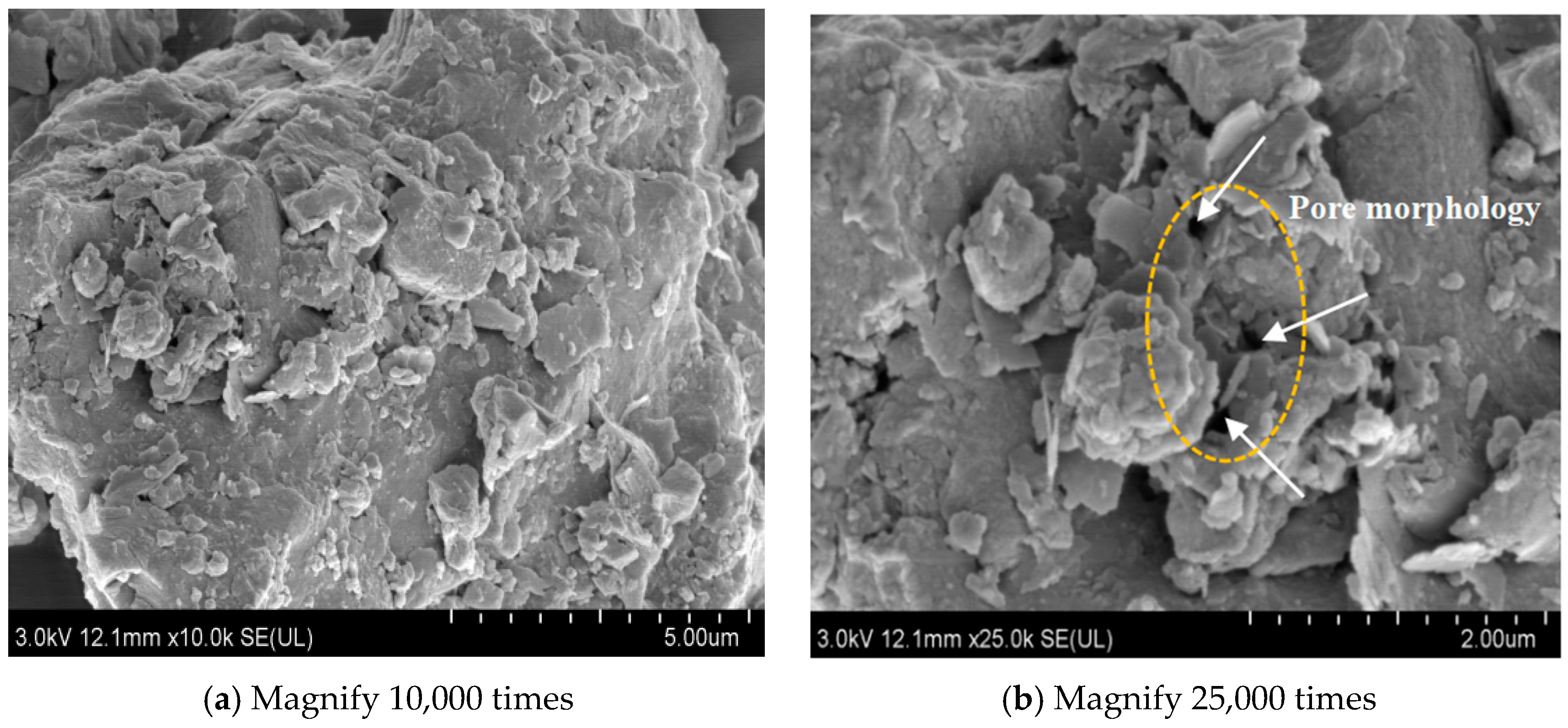 Coatings 14 01246 g015