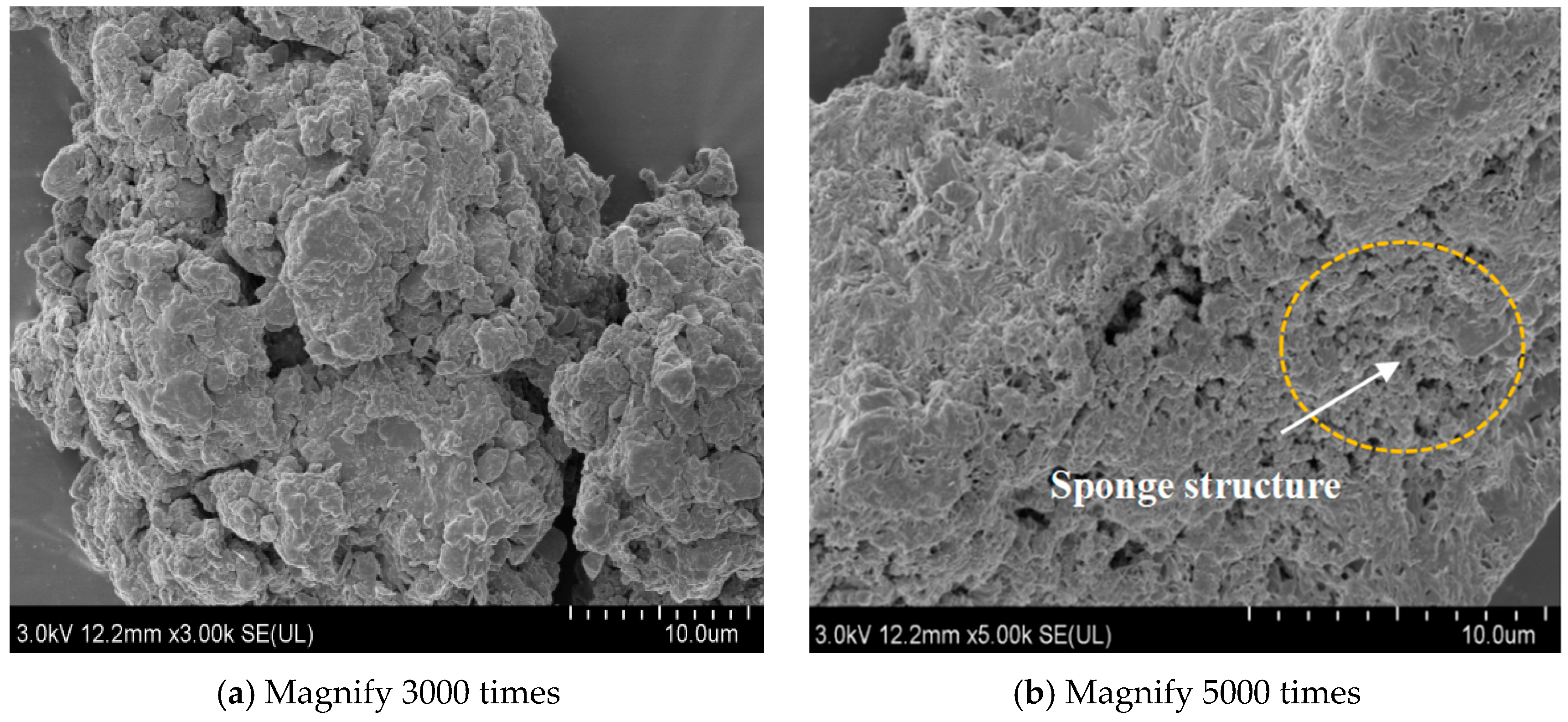 Coatings 14 01246 g016