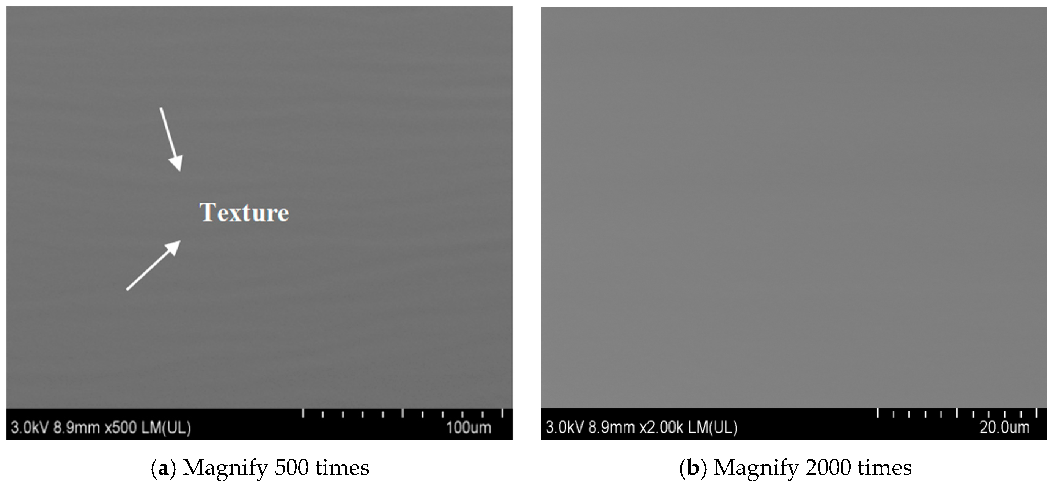 Coatings 14 01246 g017