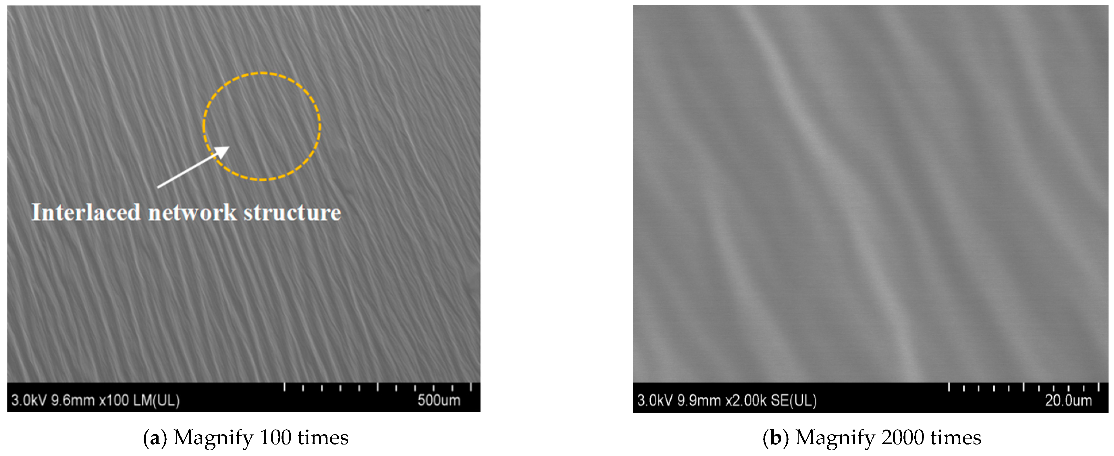 Coatings 14 01246 g018