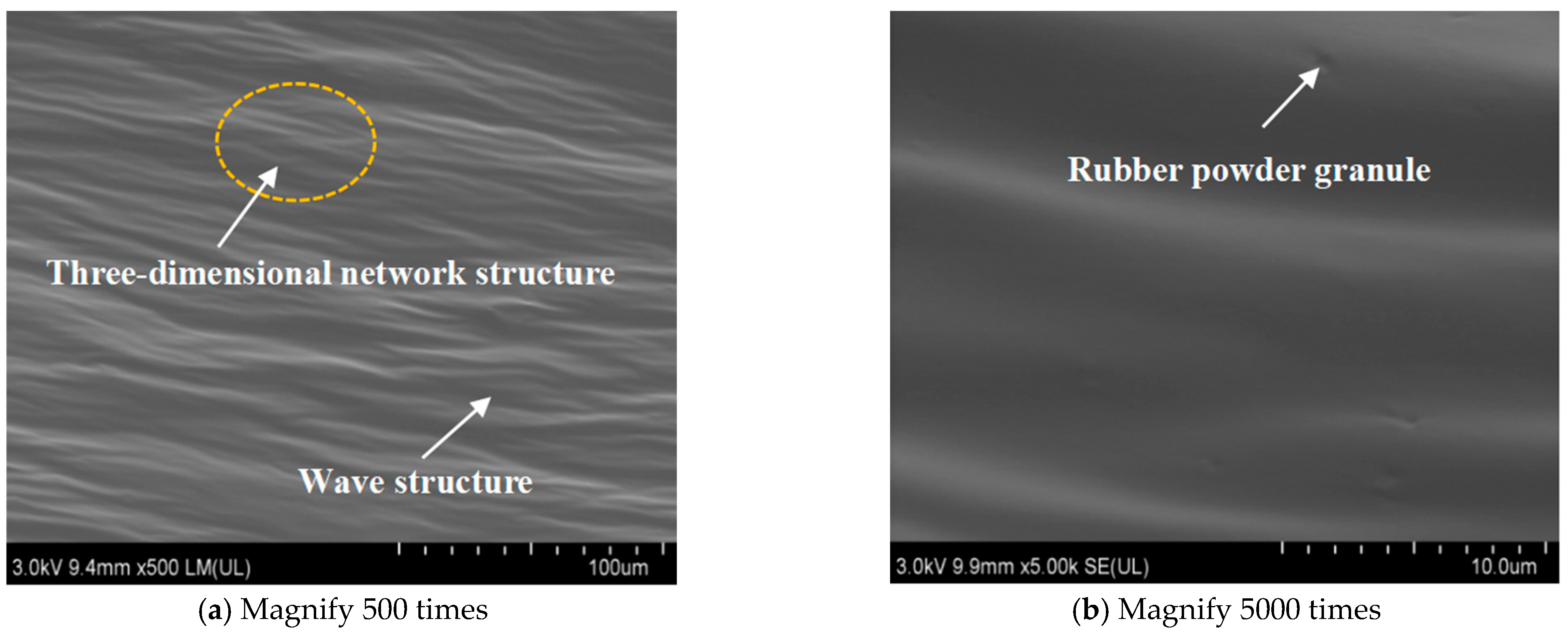 Coatings 14 01246 g019