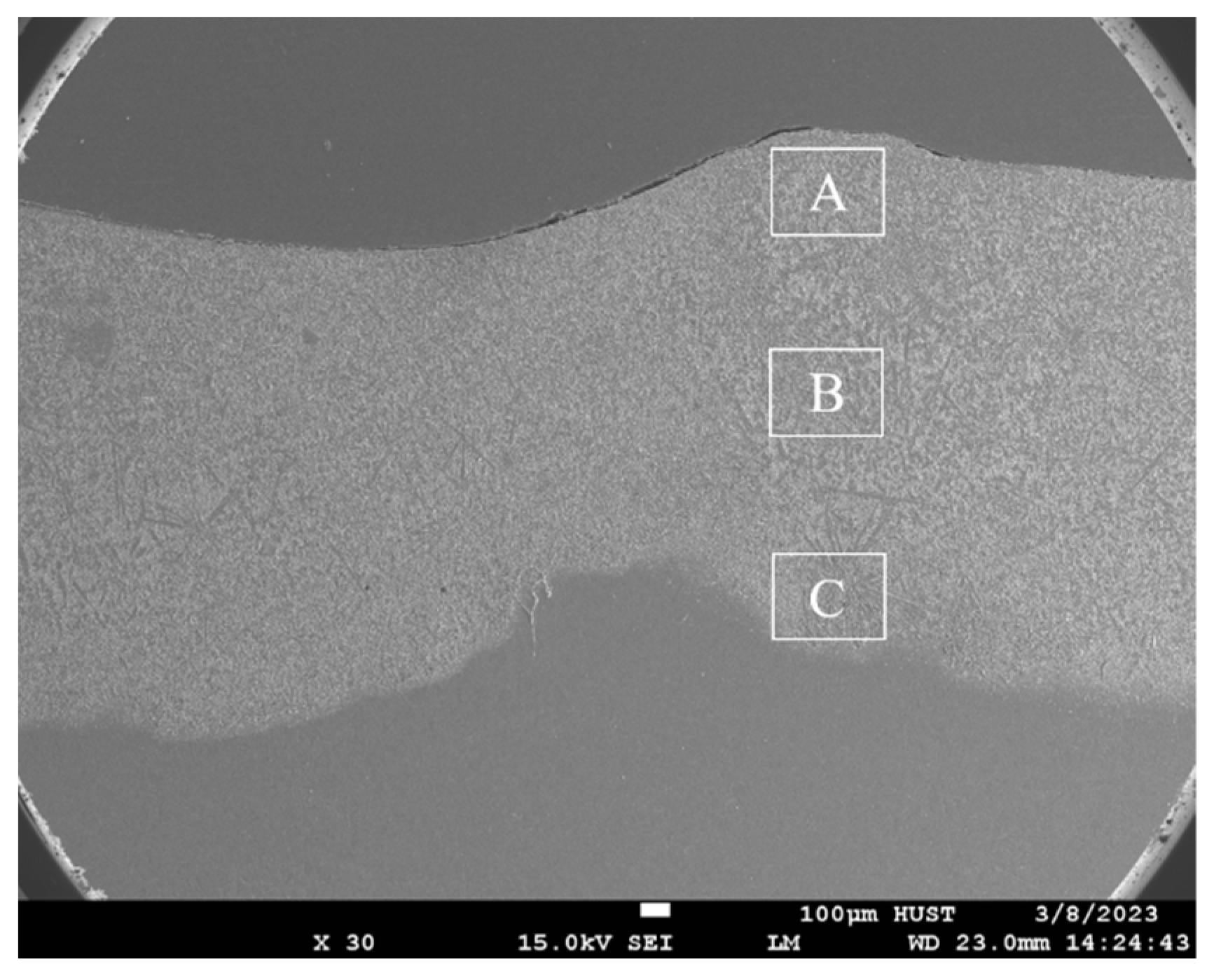 Coatings 14 01247 g002