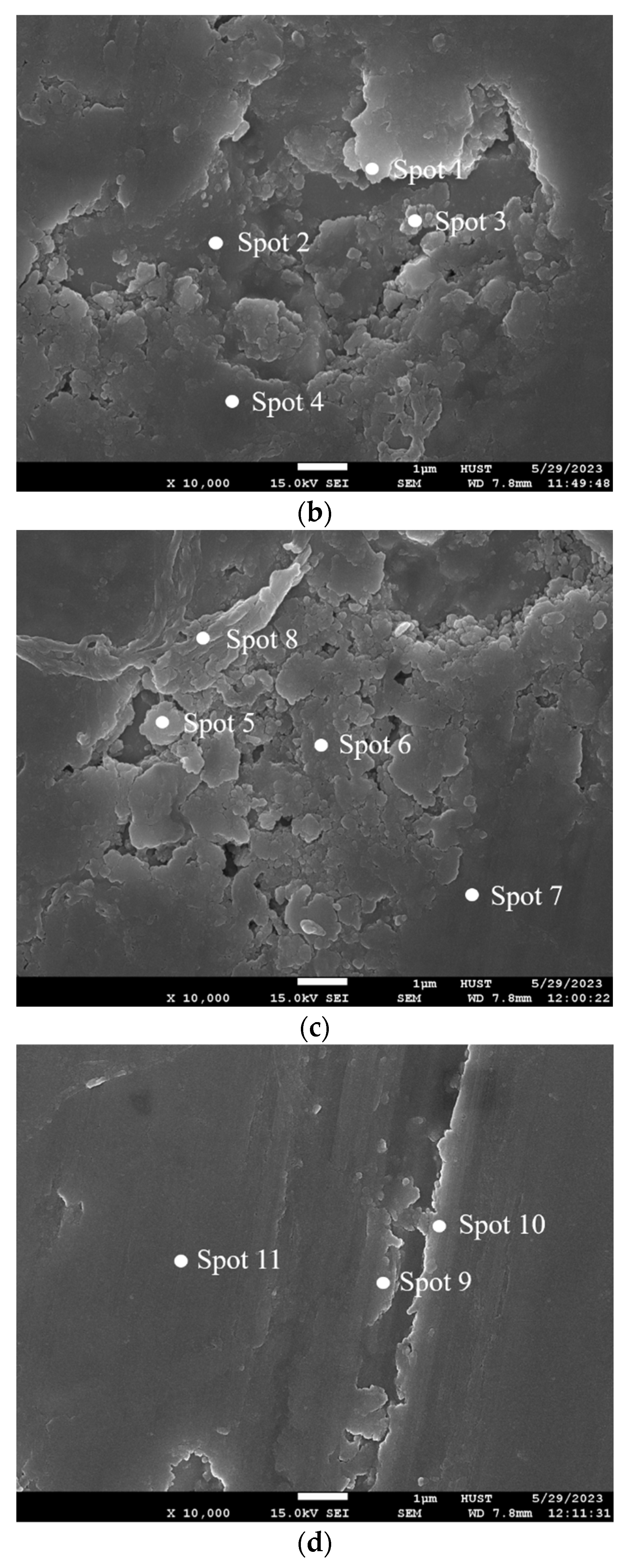 Coatings 14 01247 g007b