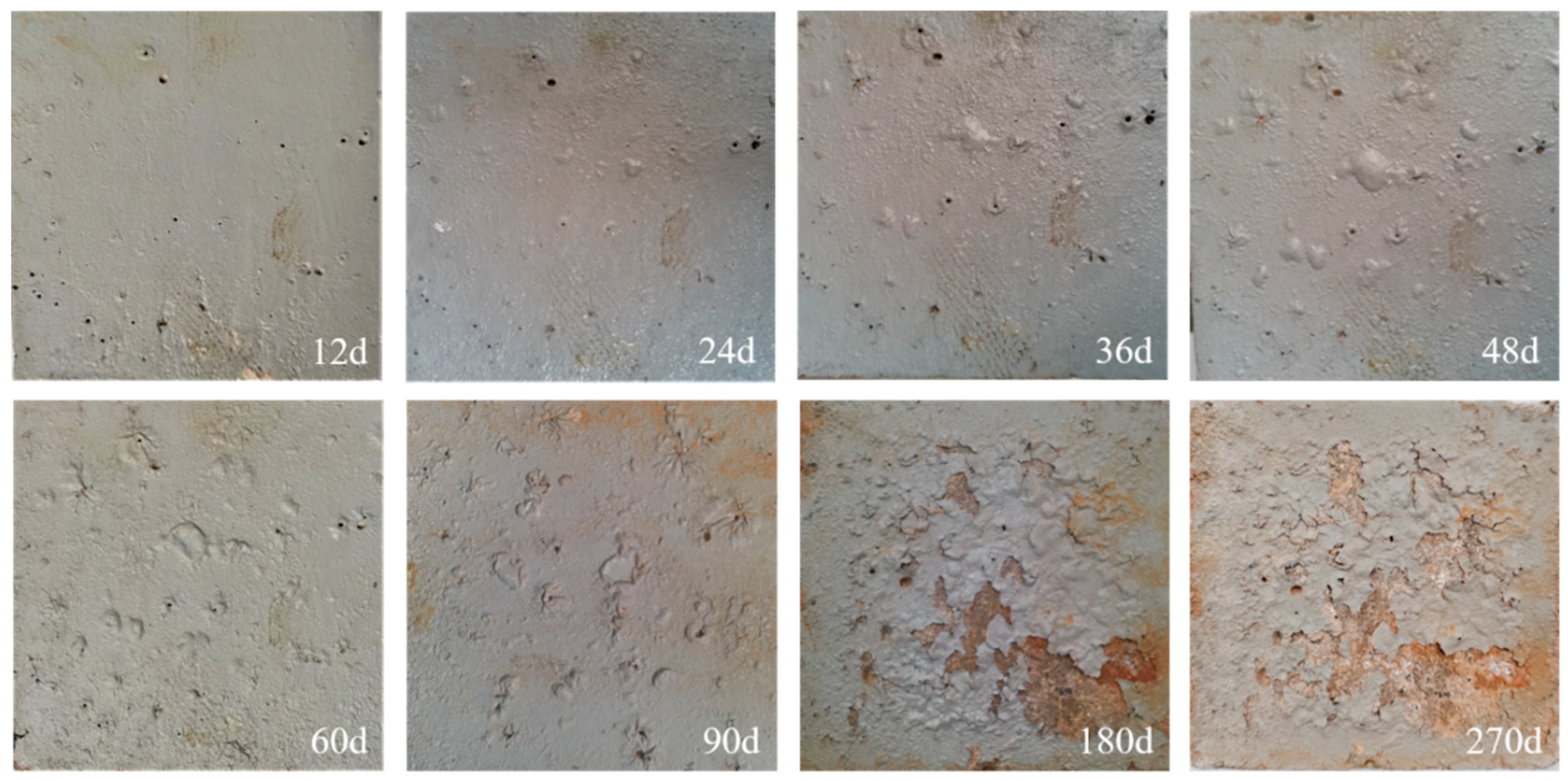 Coatings 14 01249 g005