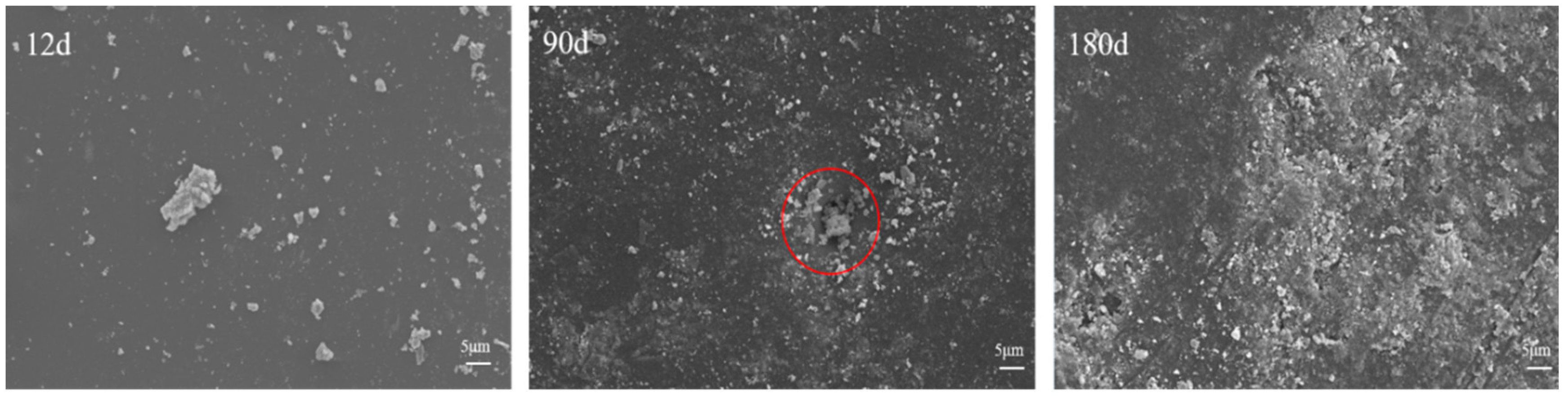 Coatings 14 01249 g010