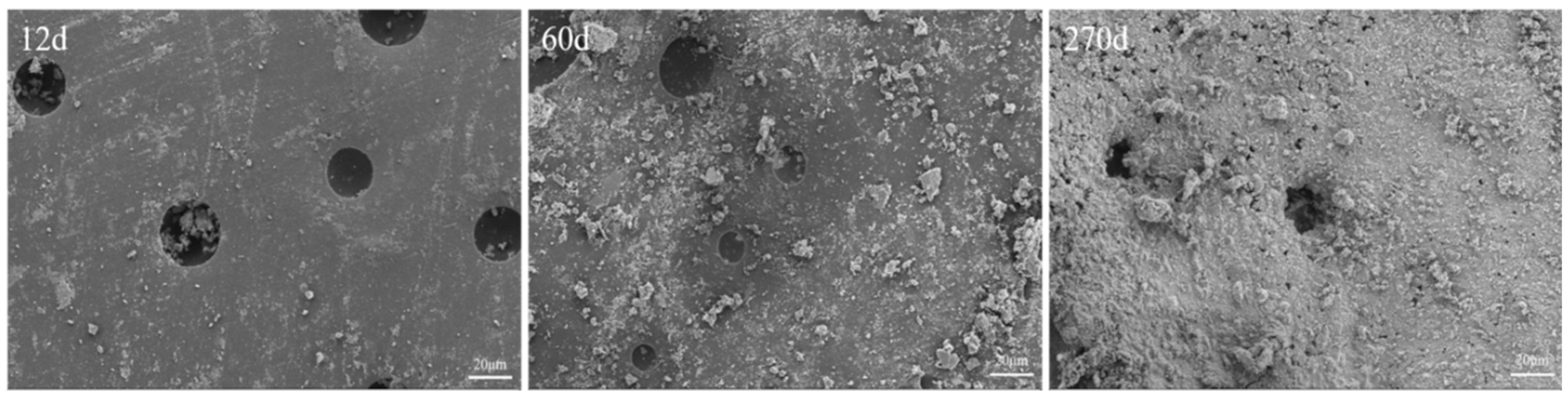 Coatings 14 01249 g015