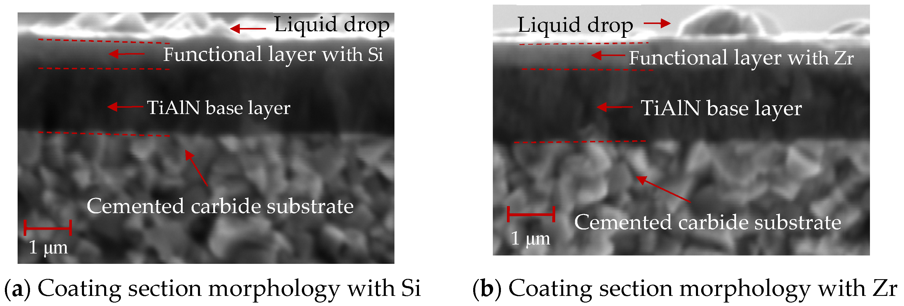 Coatings 14 01255 g013