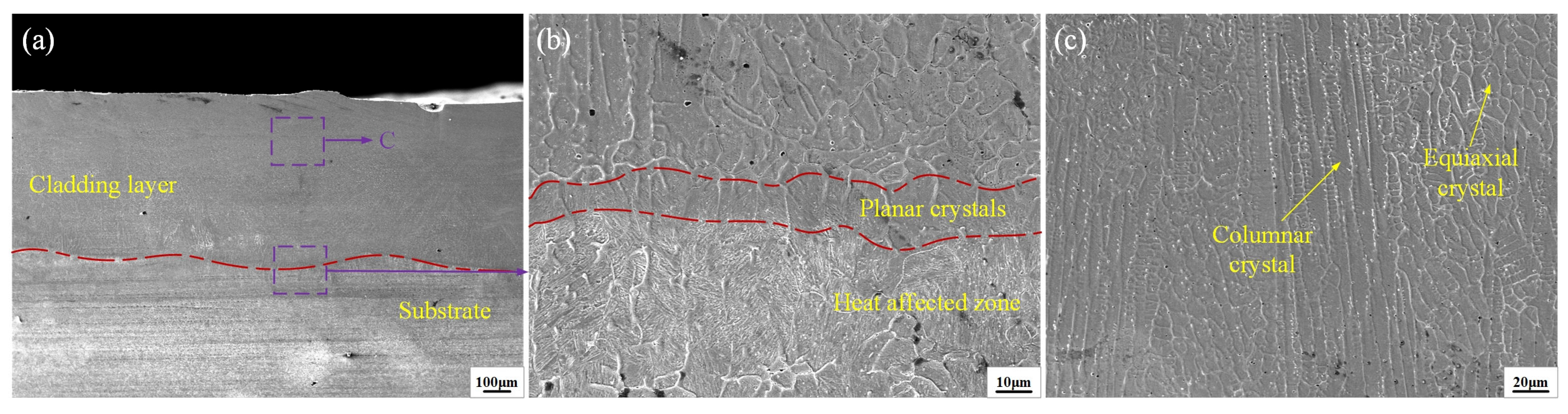 Coatings 14 01259 g004