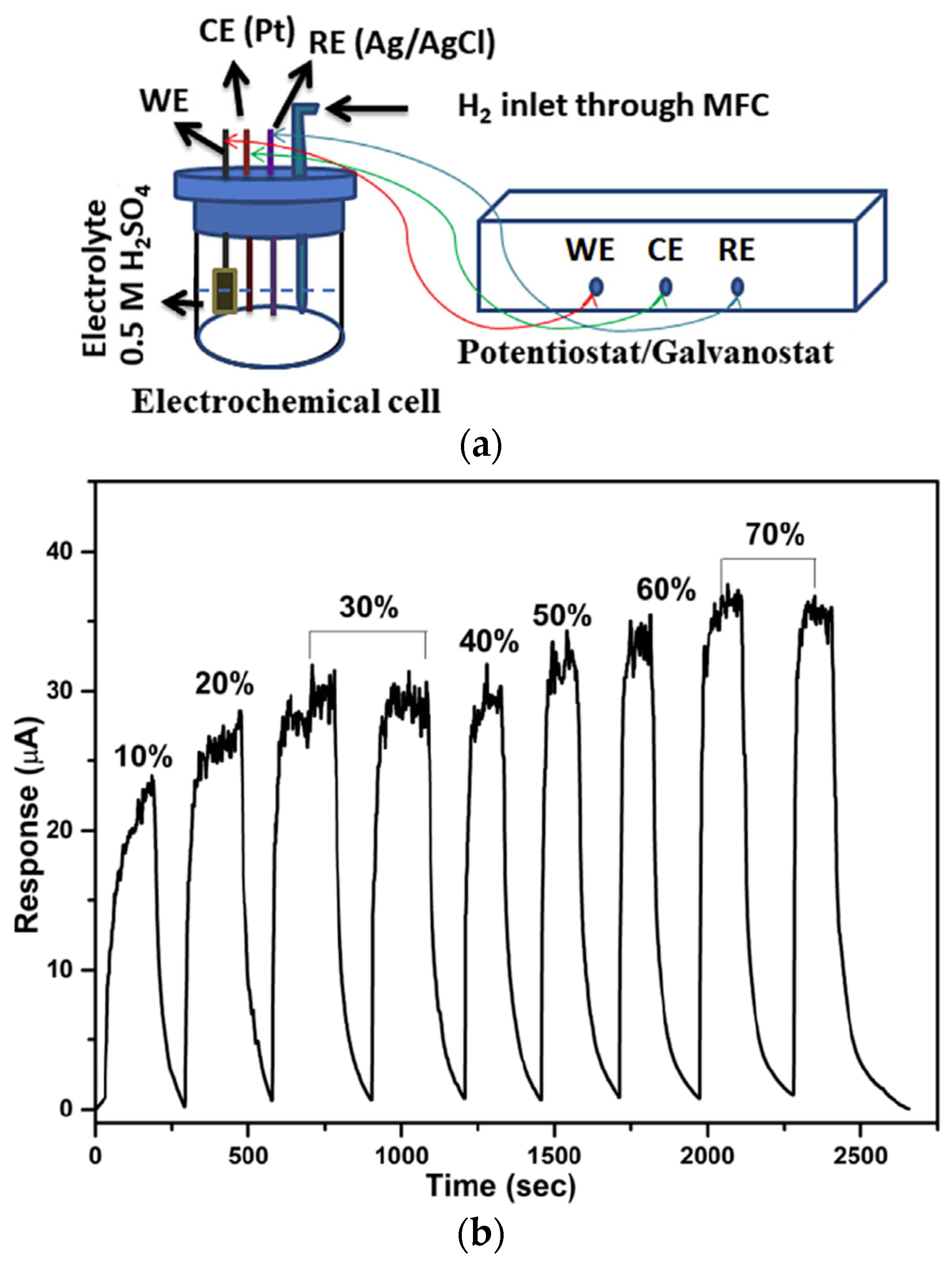 Coatings 14 01260 g002