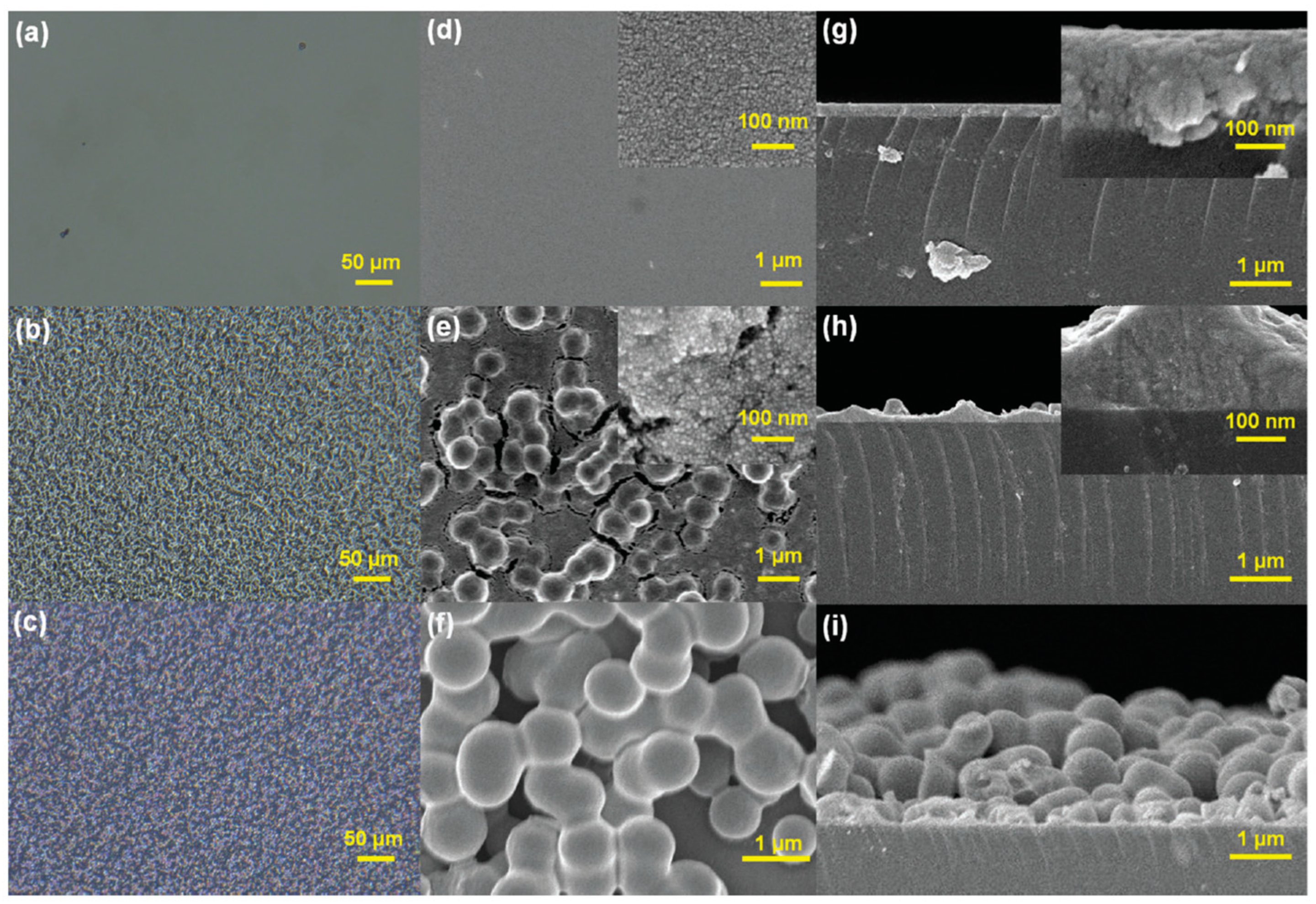 Coatings 14 01260 g005