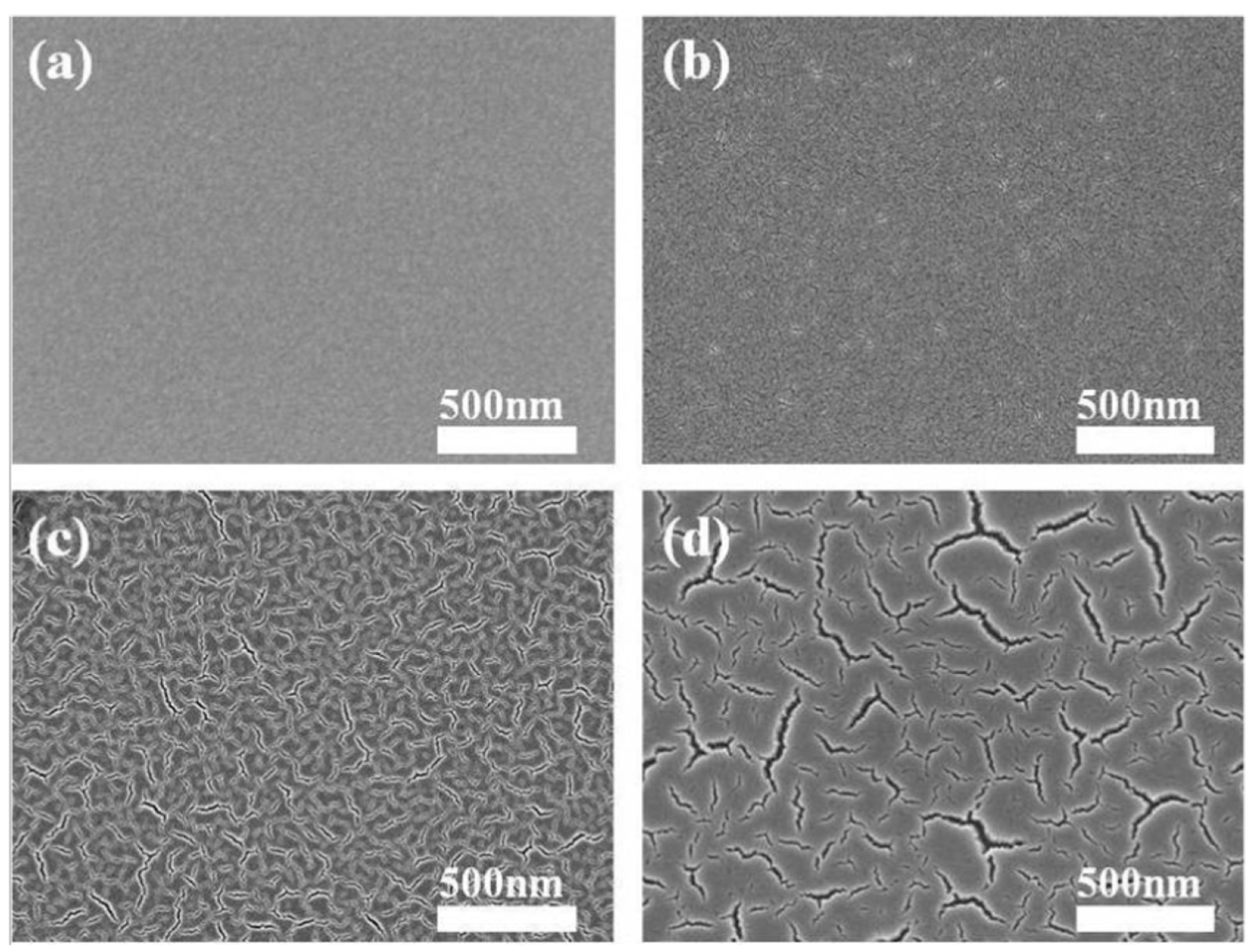 Coatings 14 01260 g007