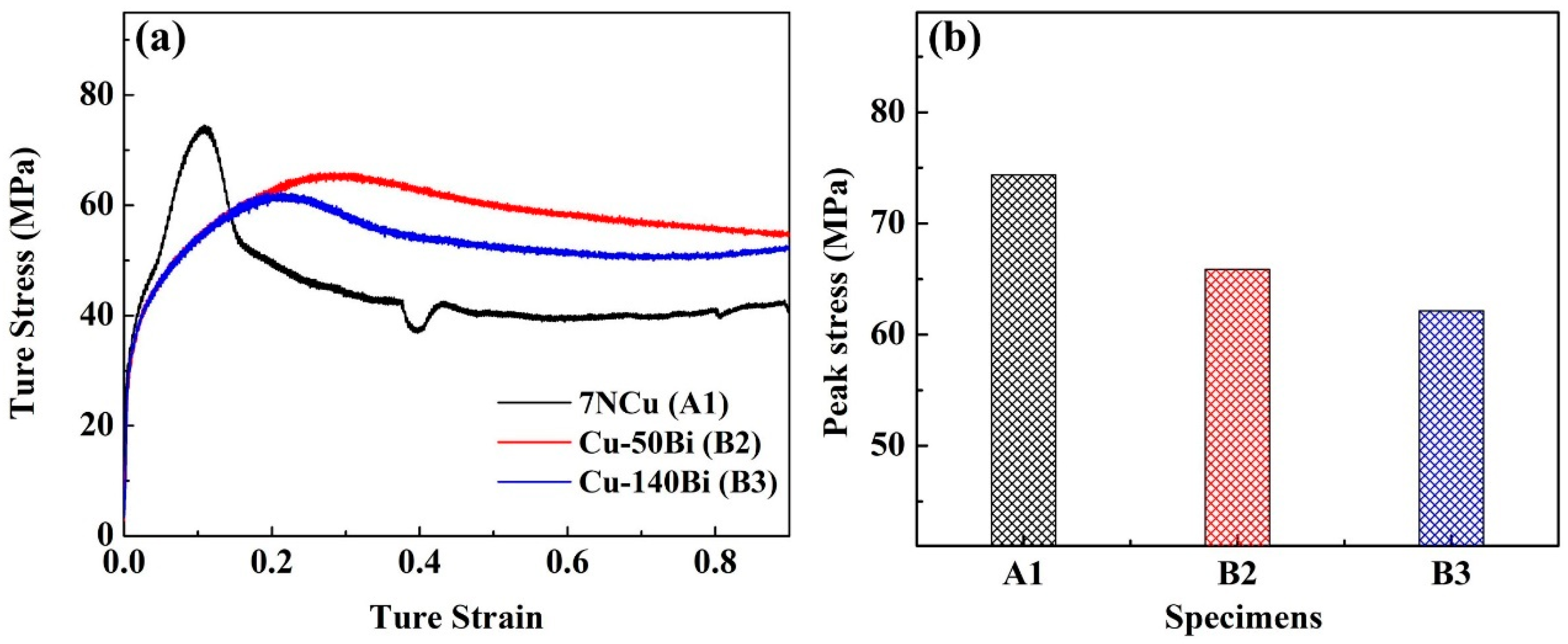 Coatings 14 01261 g003