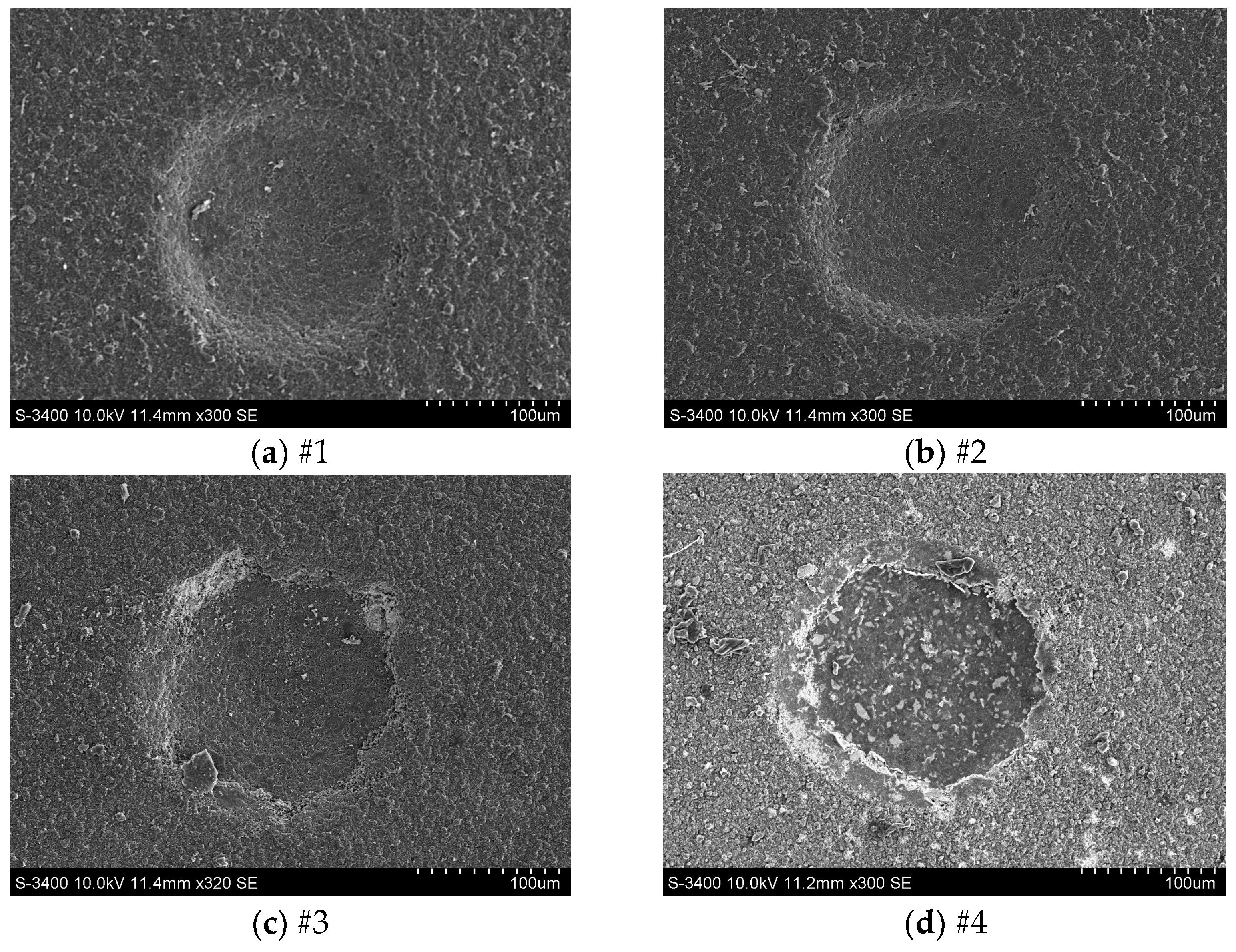 Coatings 14 01266 g010
