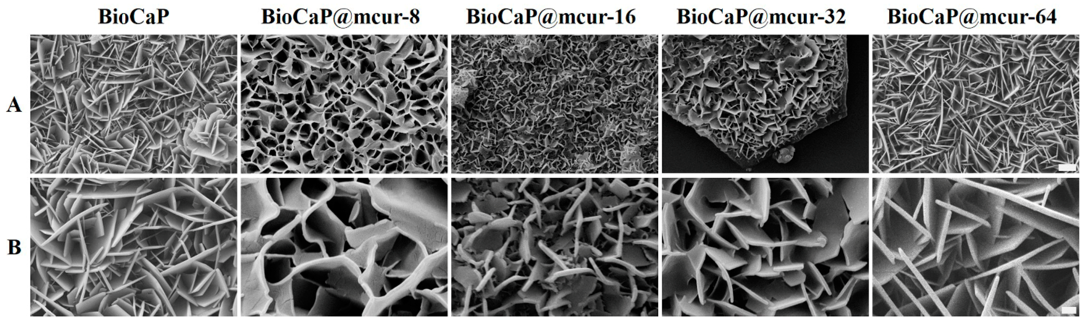 Coatings 14 01267 g001