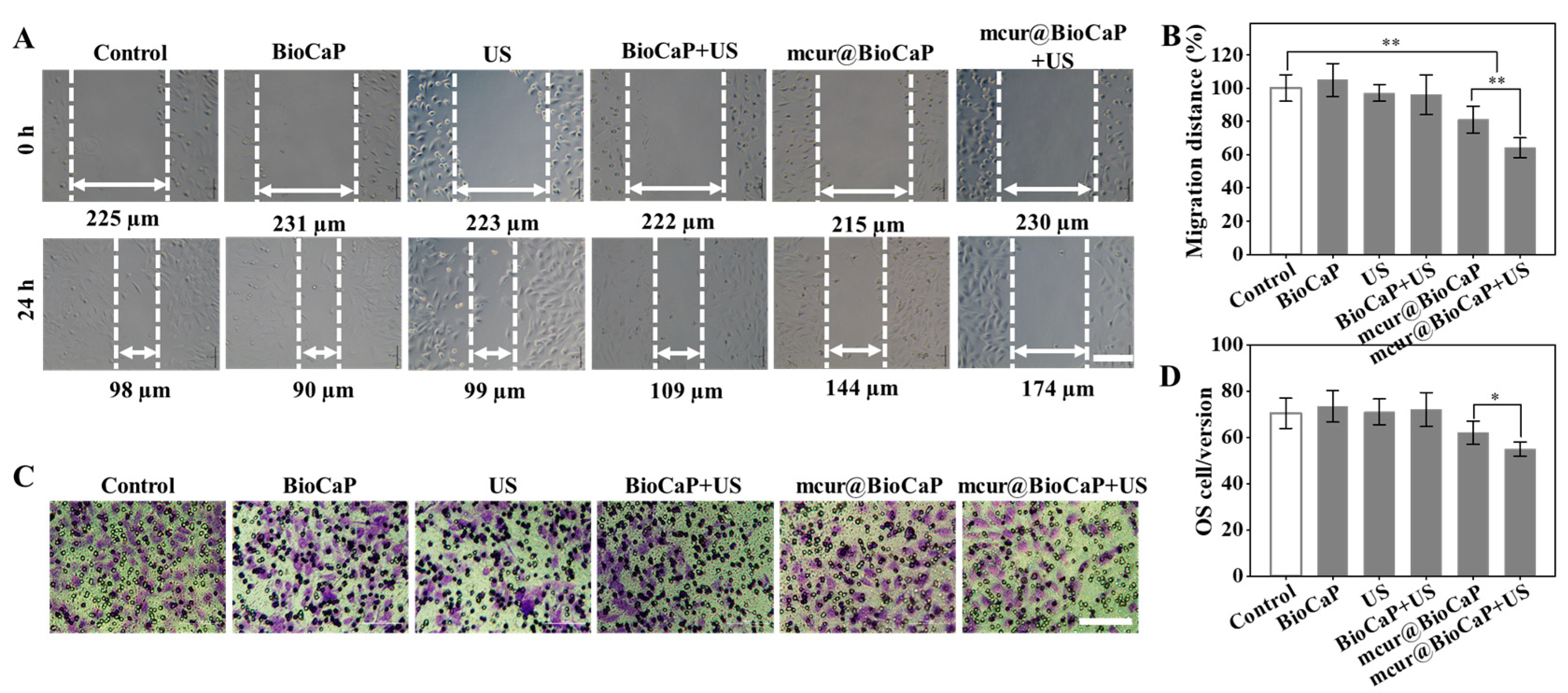 Coatings 14 01267 g005