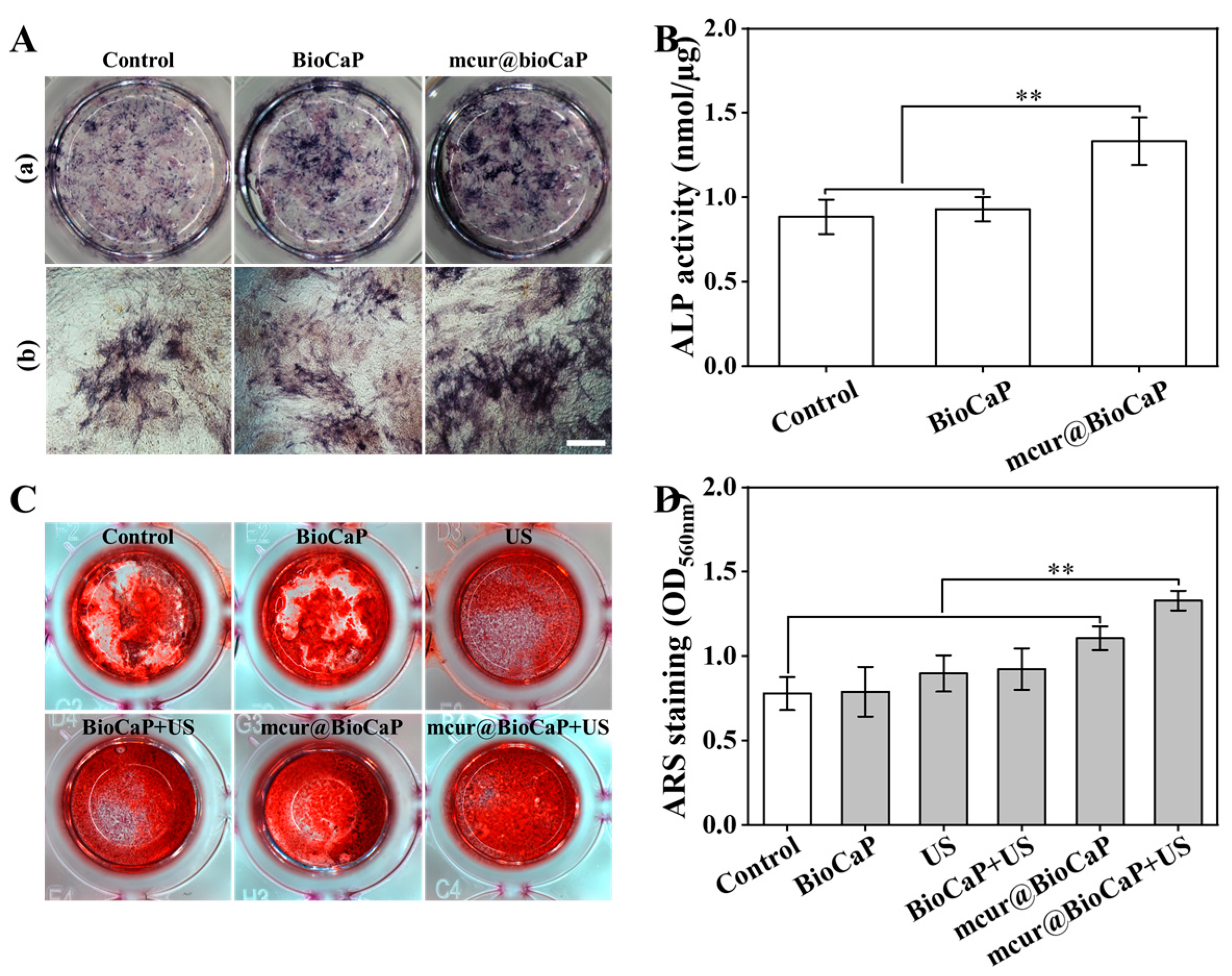 Coatings 14 01267 g006
