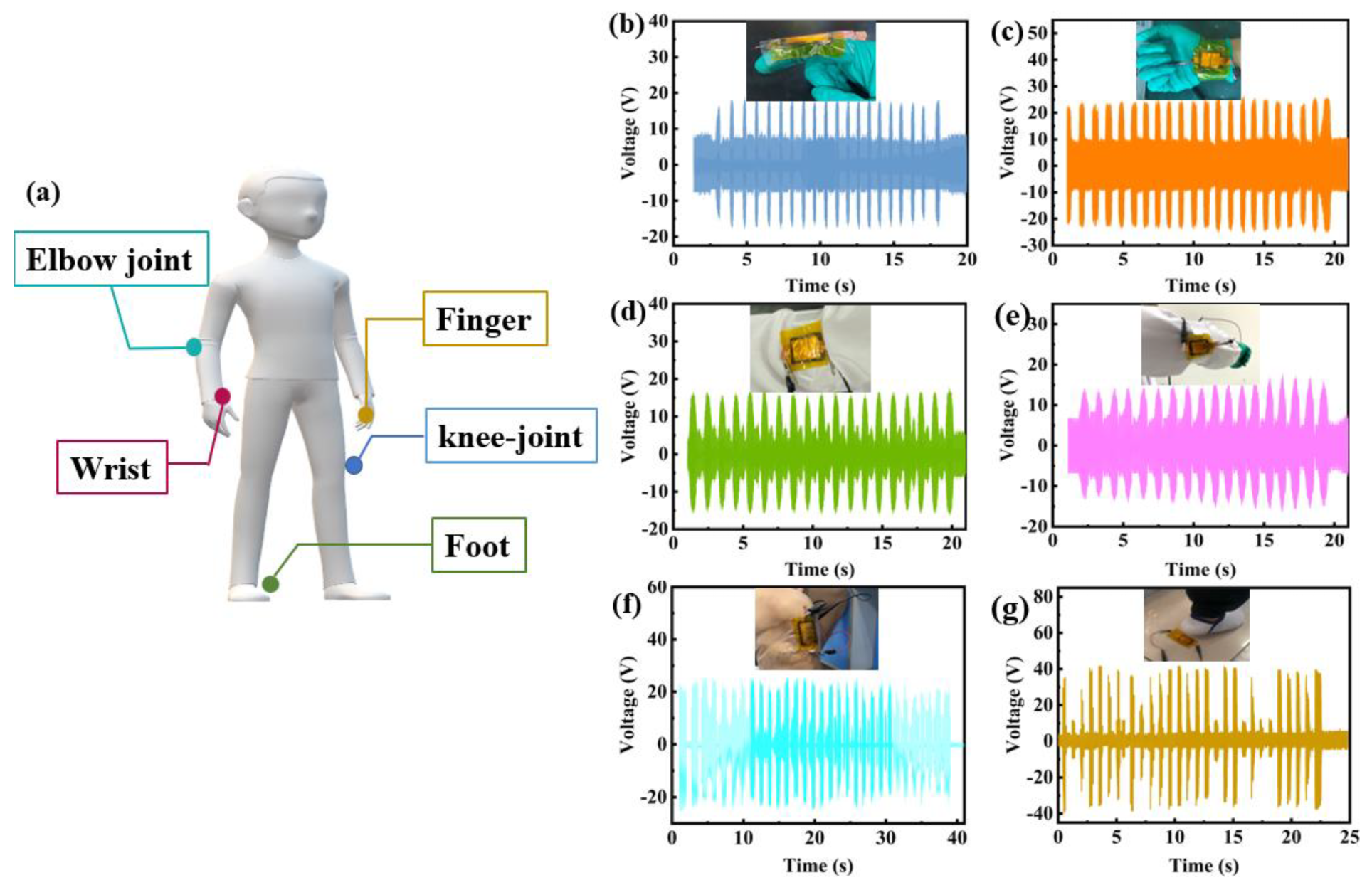 Coatings 14 01269 g009